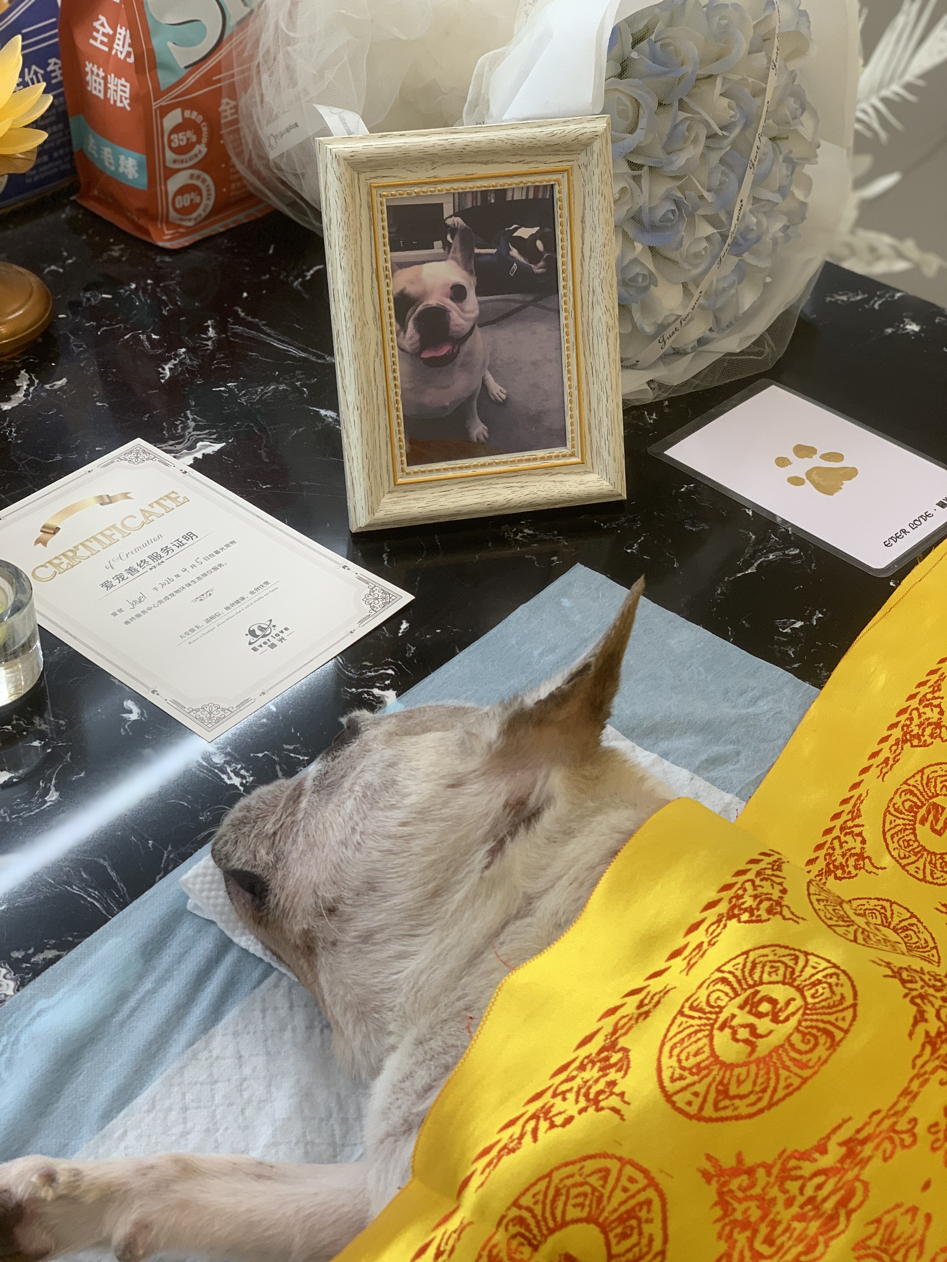 狗狗爪印纪念配图