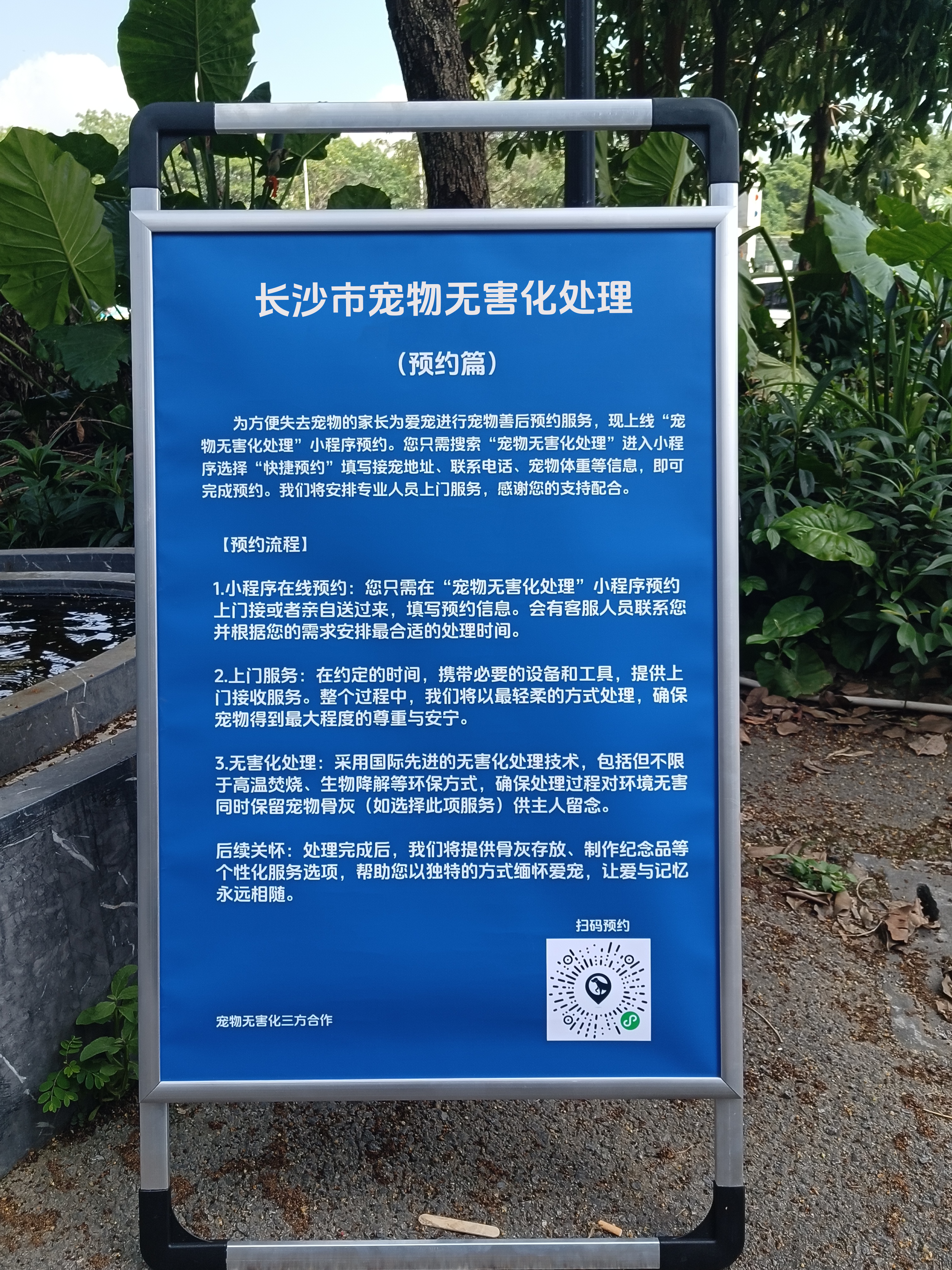 淮北宠摆渡宠物无害化处理