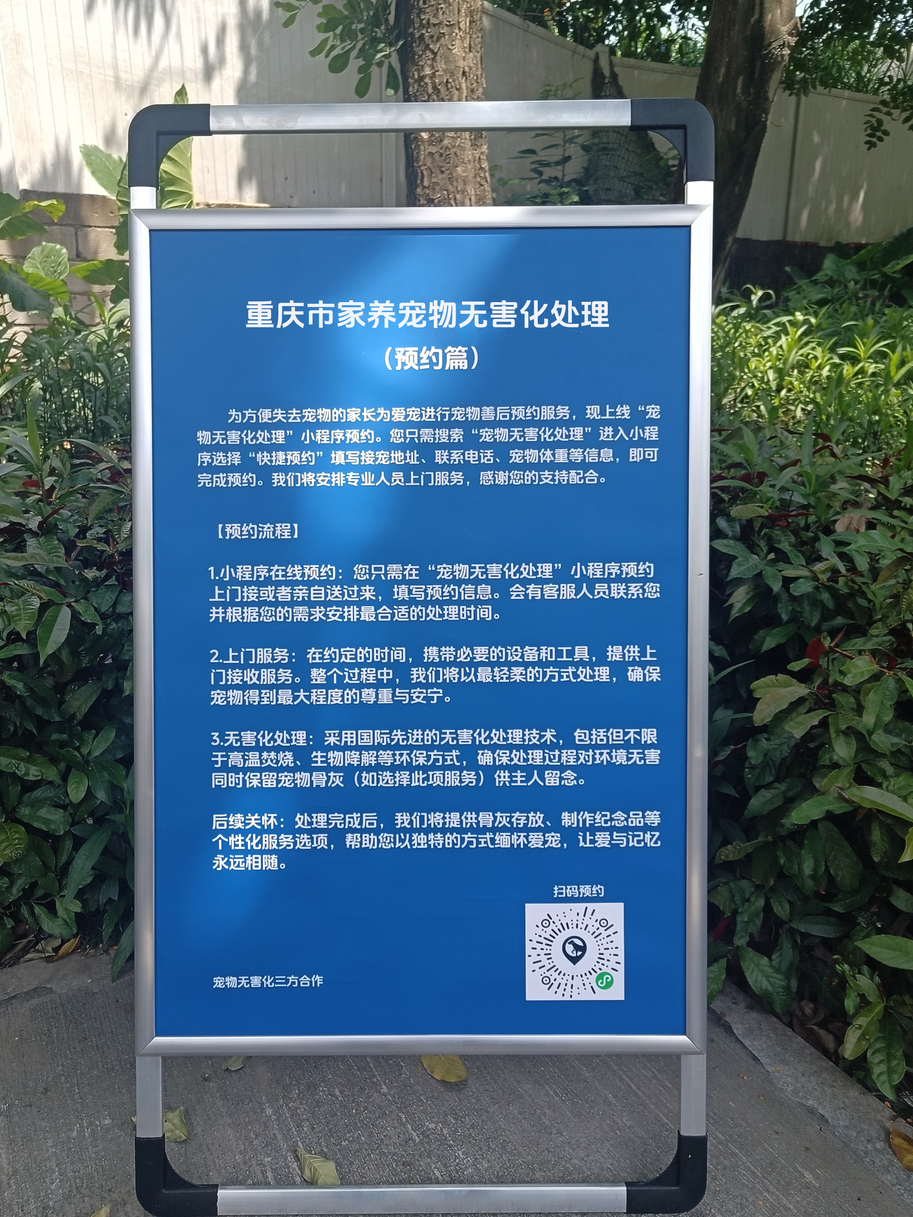 恩施宠物遗体规范处理