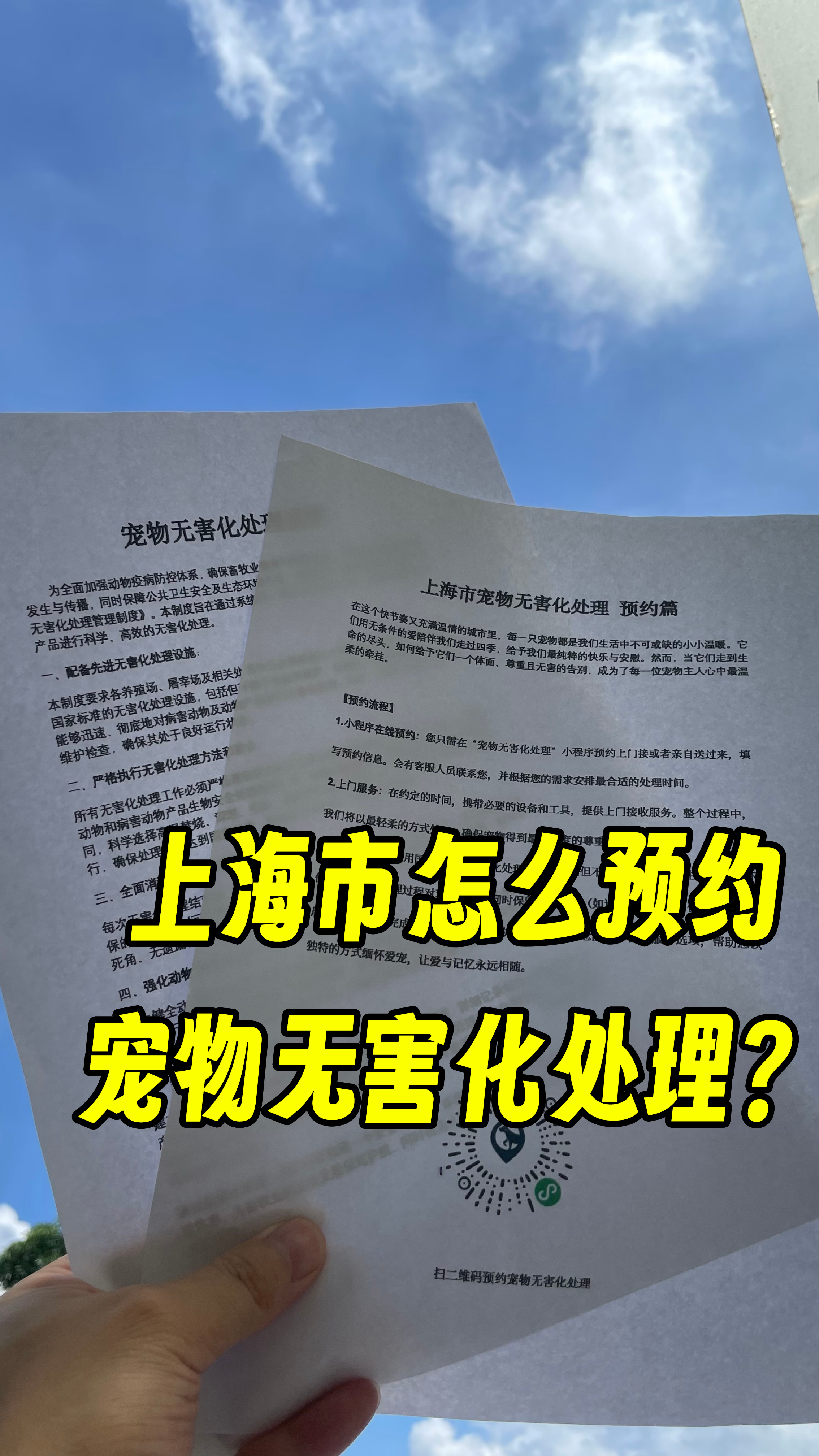 台州宠物无害化处理机构