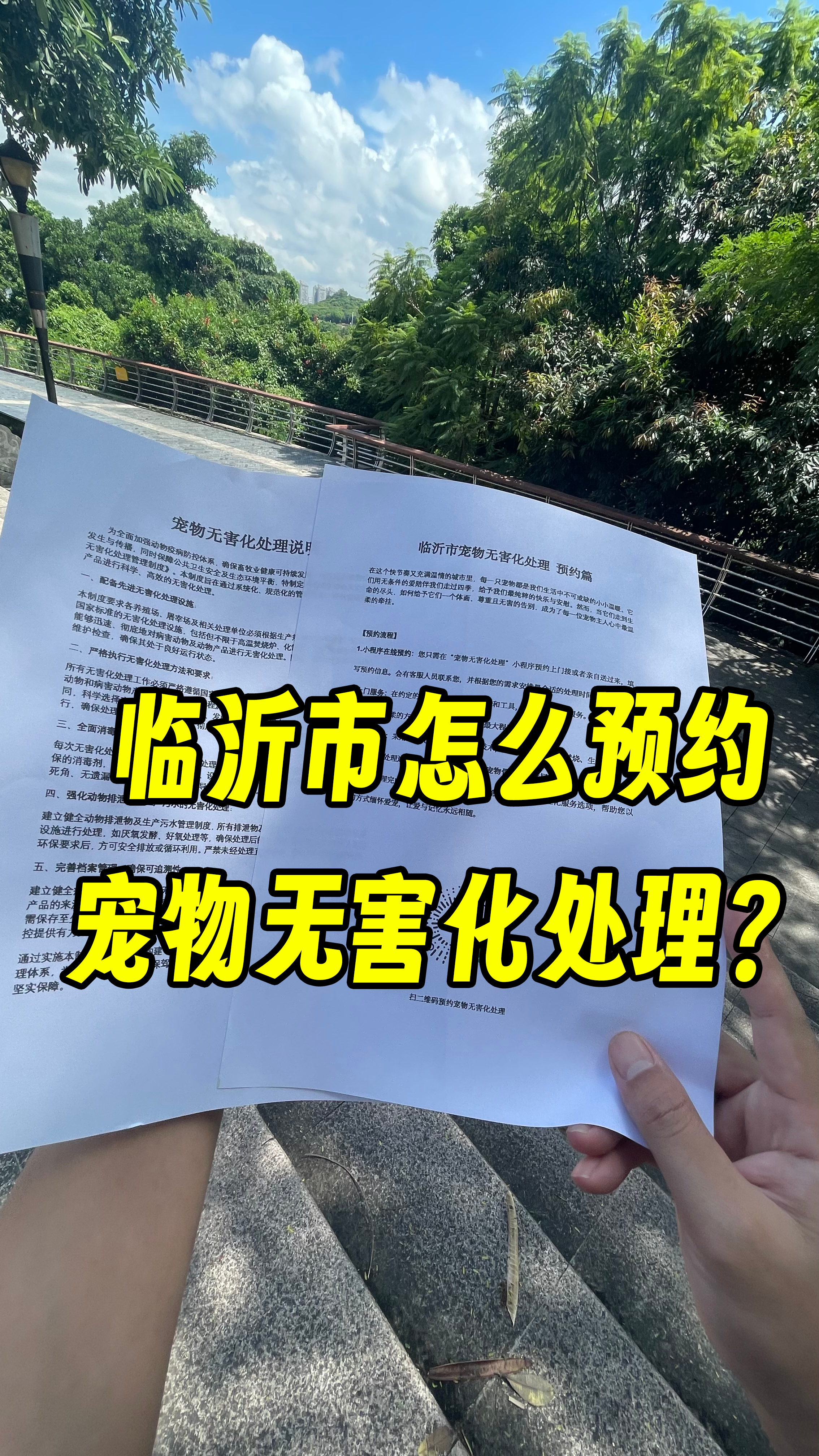 罗定宠物无害化处理流程
