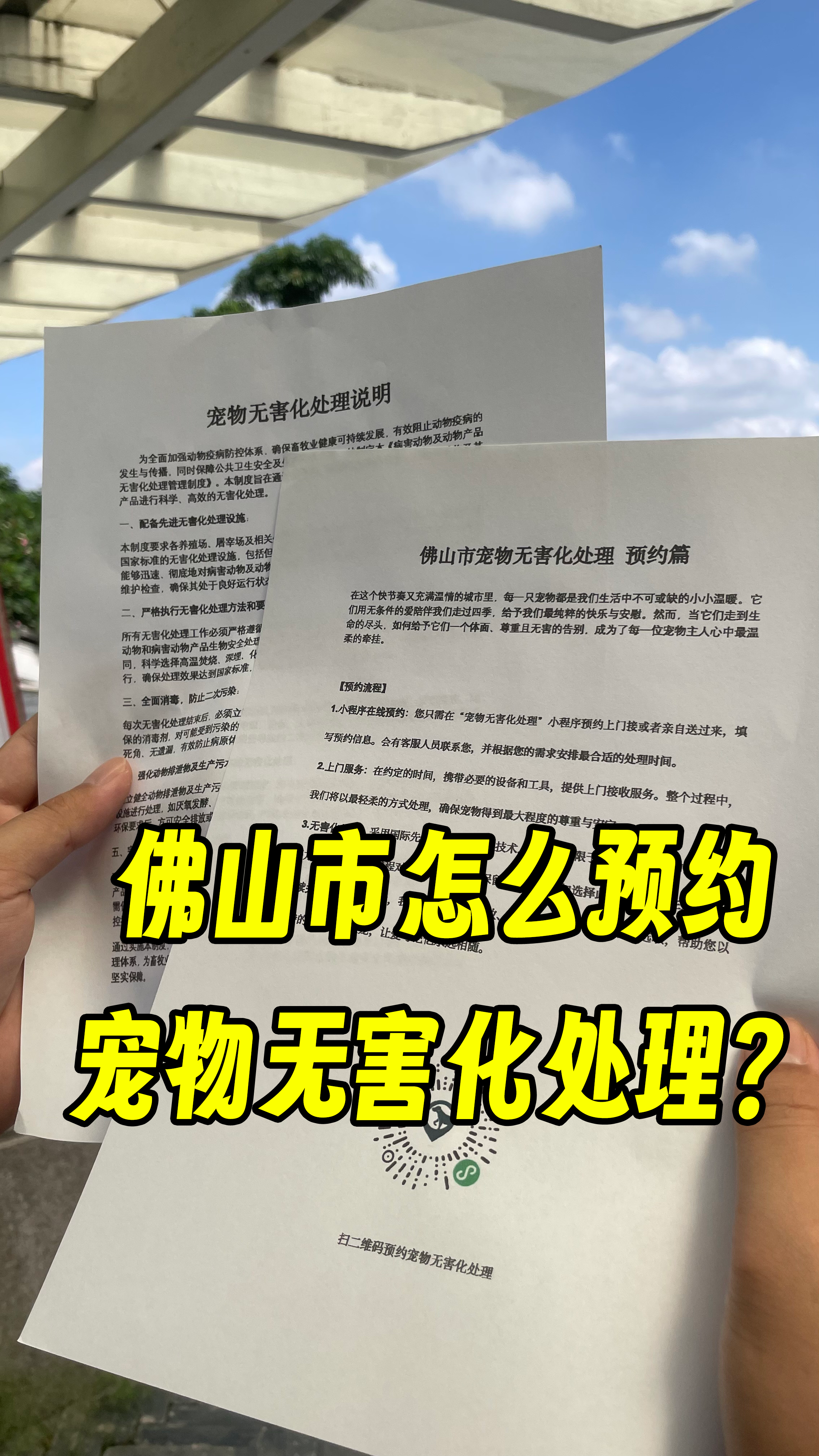 罗定宠物接运服务