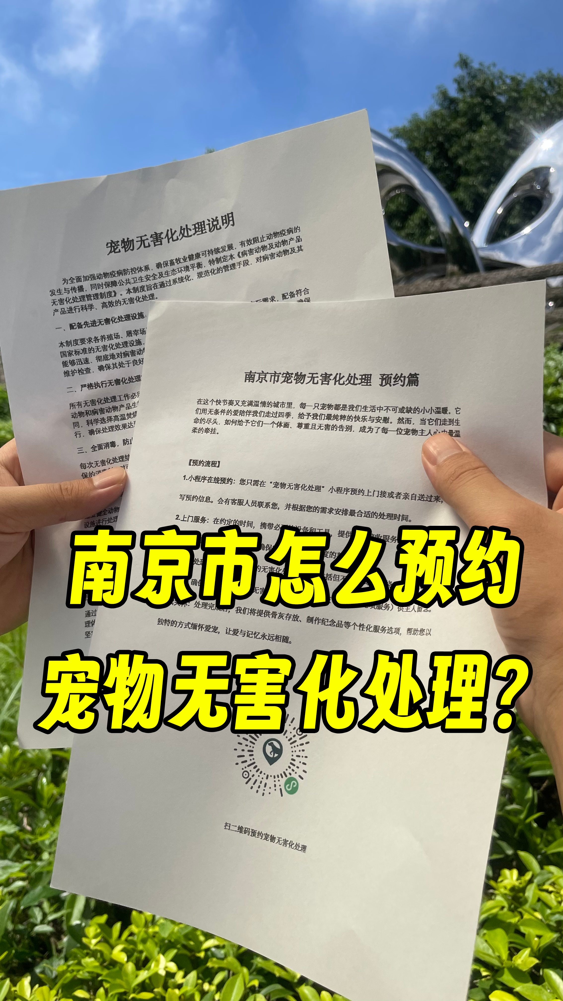 云安宠物无害化处理
