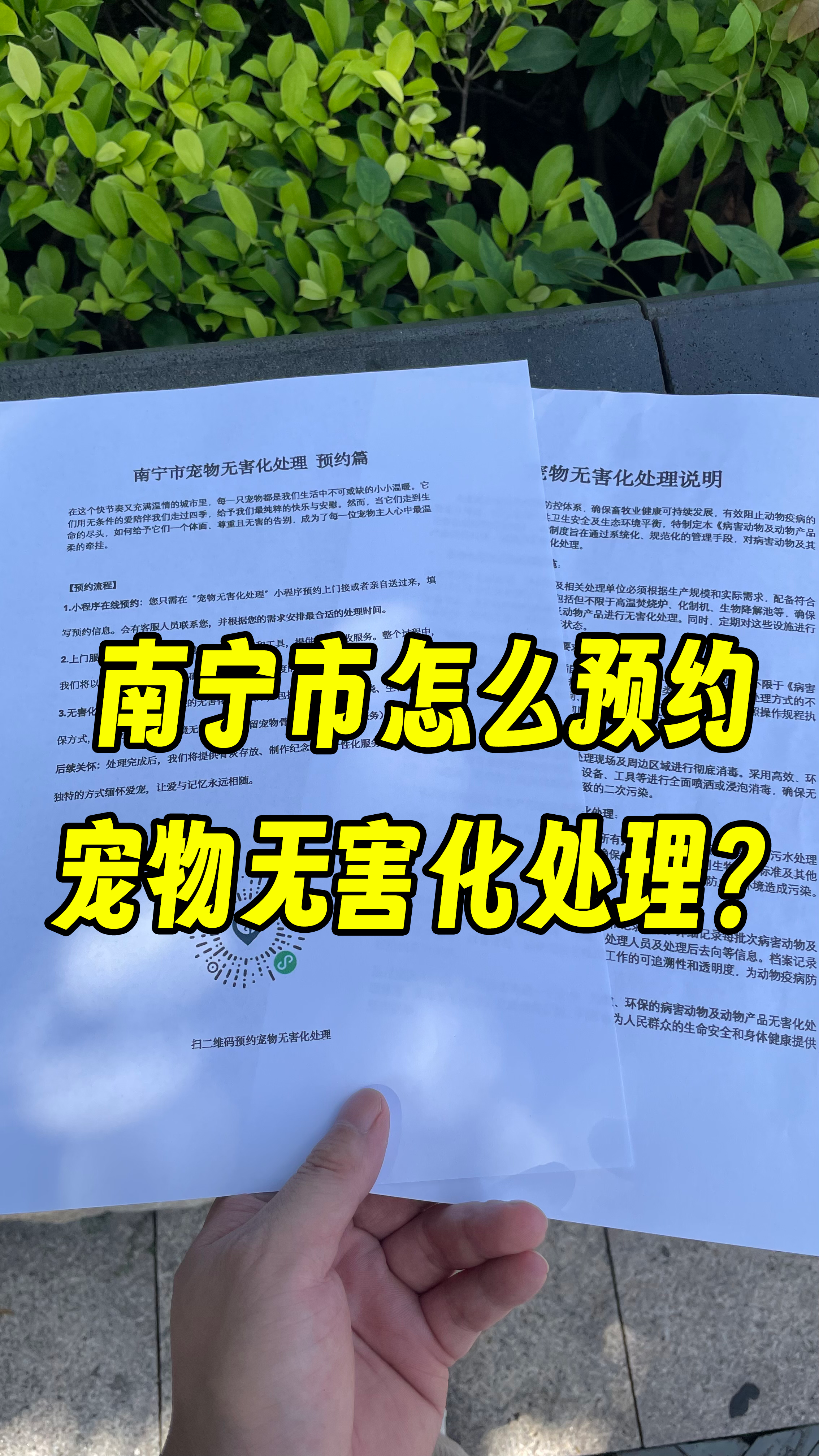 云安宠物无害化