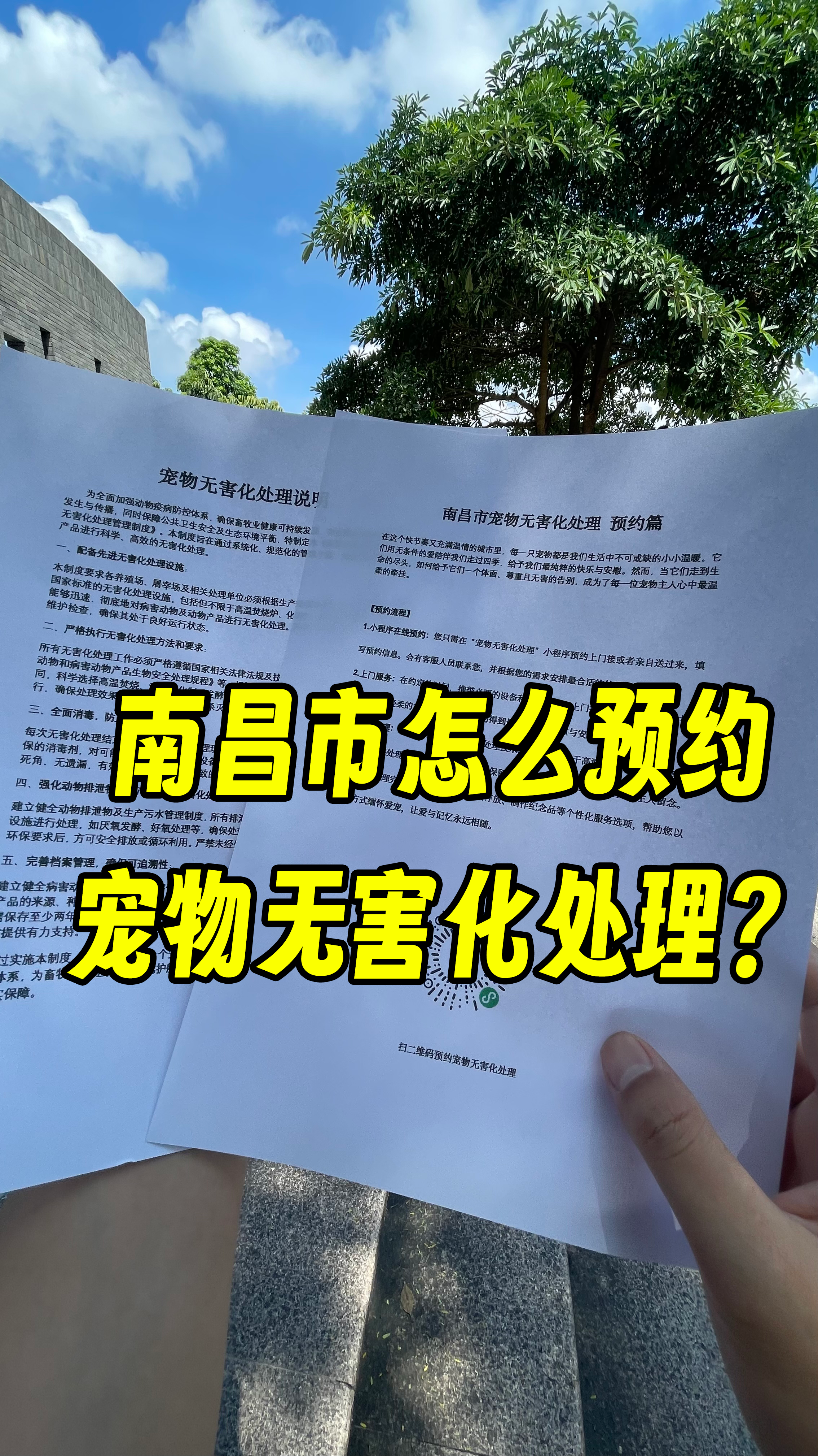 云安宠摆渡服务