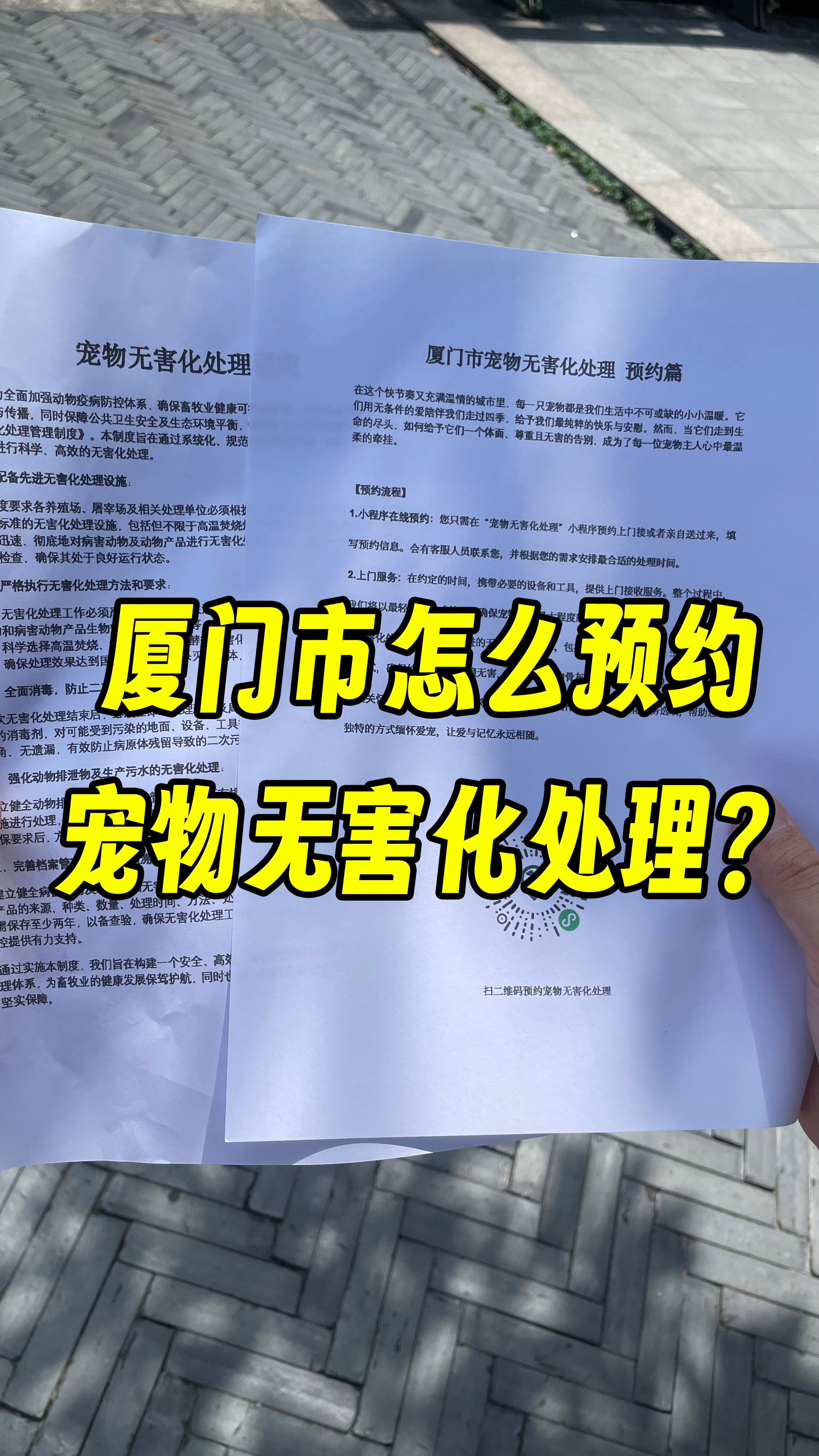 云安宠物无害化处理流程