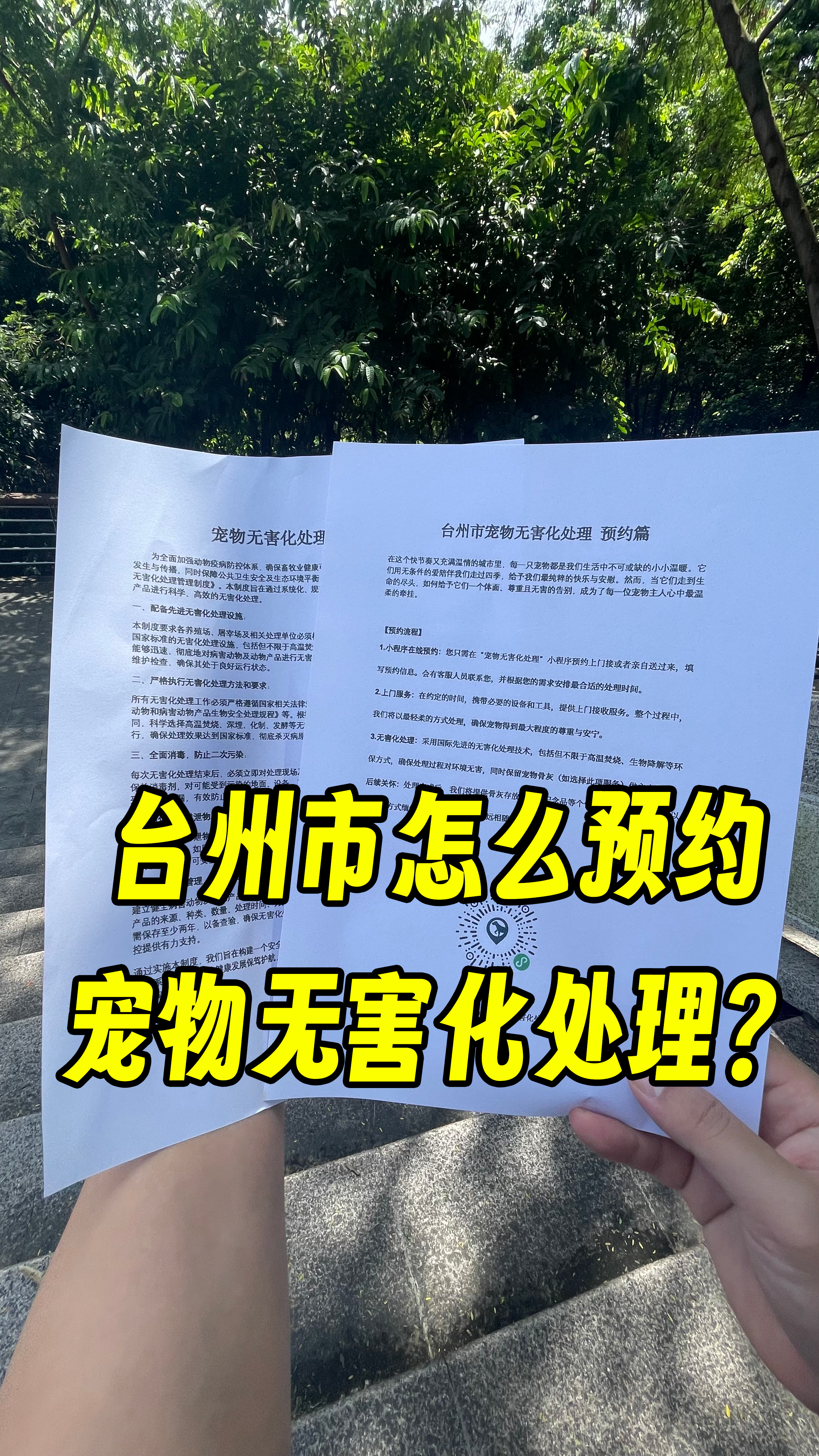 云安宠物接运服务