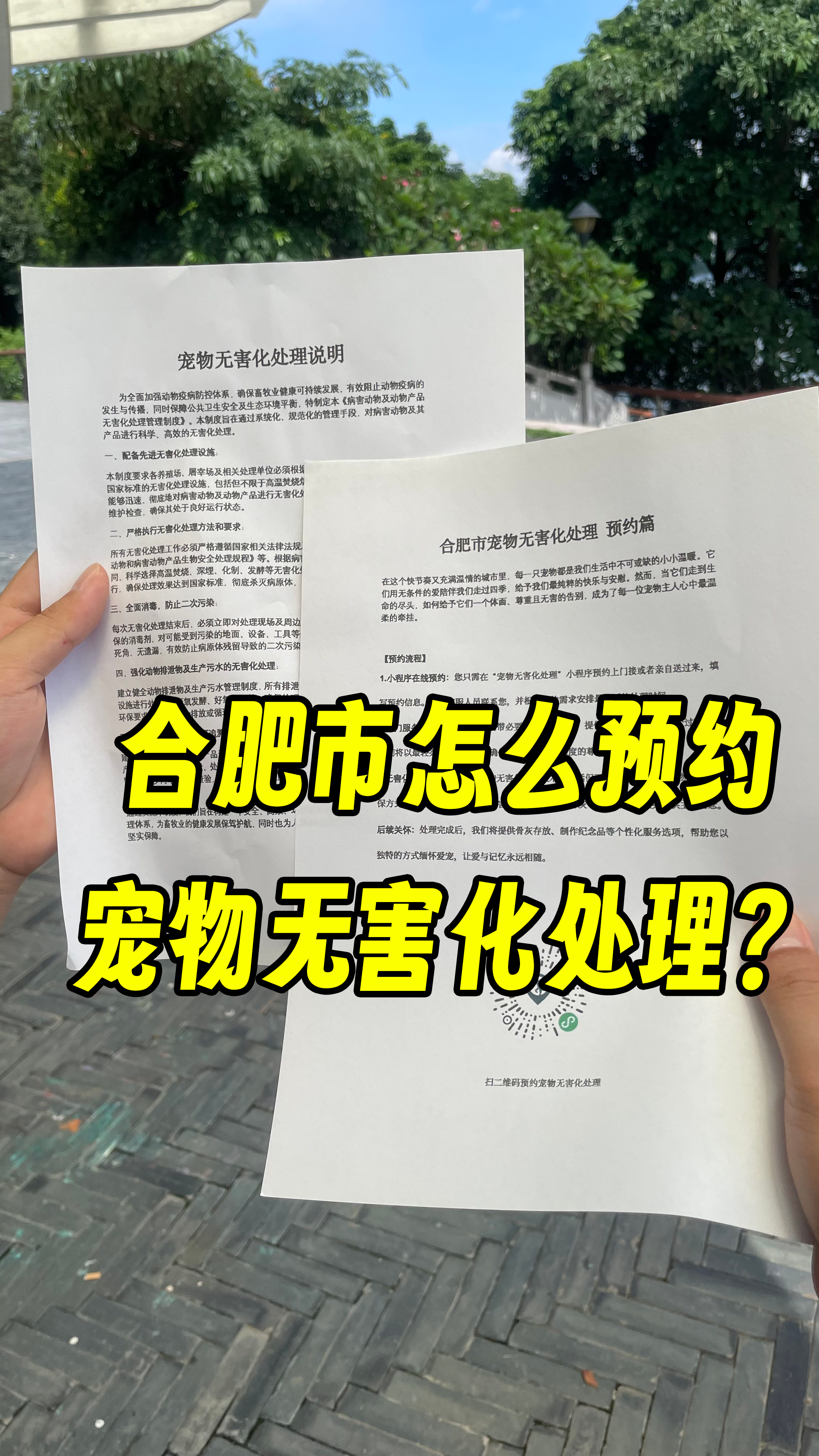 云安宠物告别厅