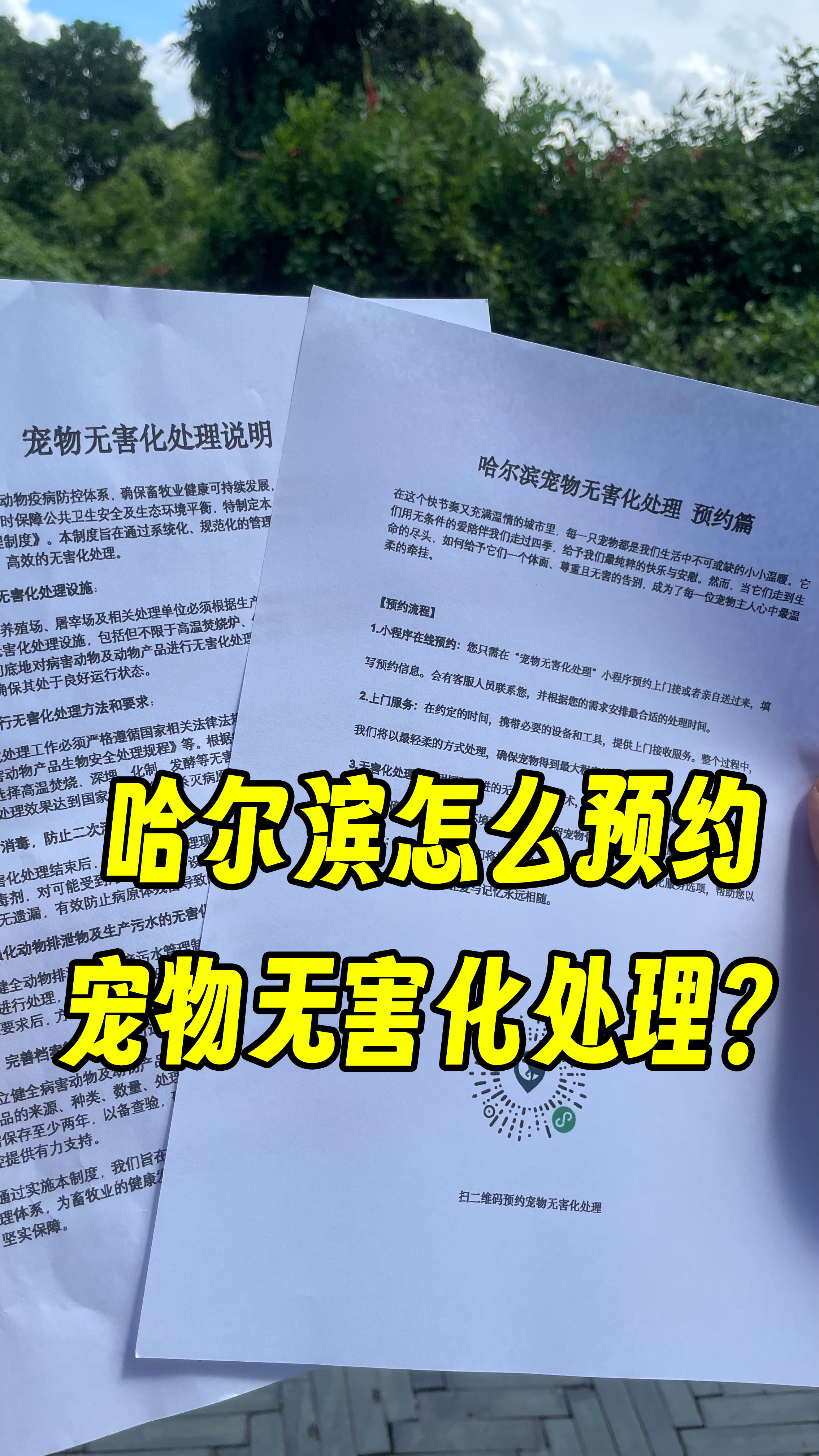衢州宠物无害化处理机构