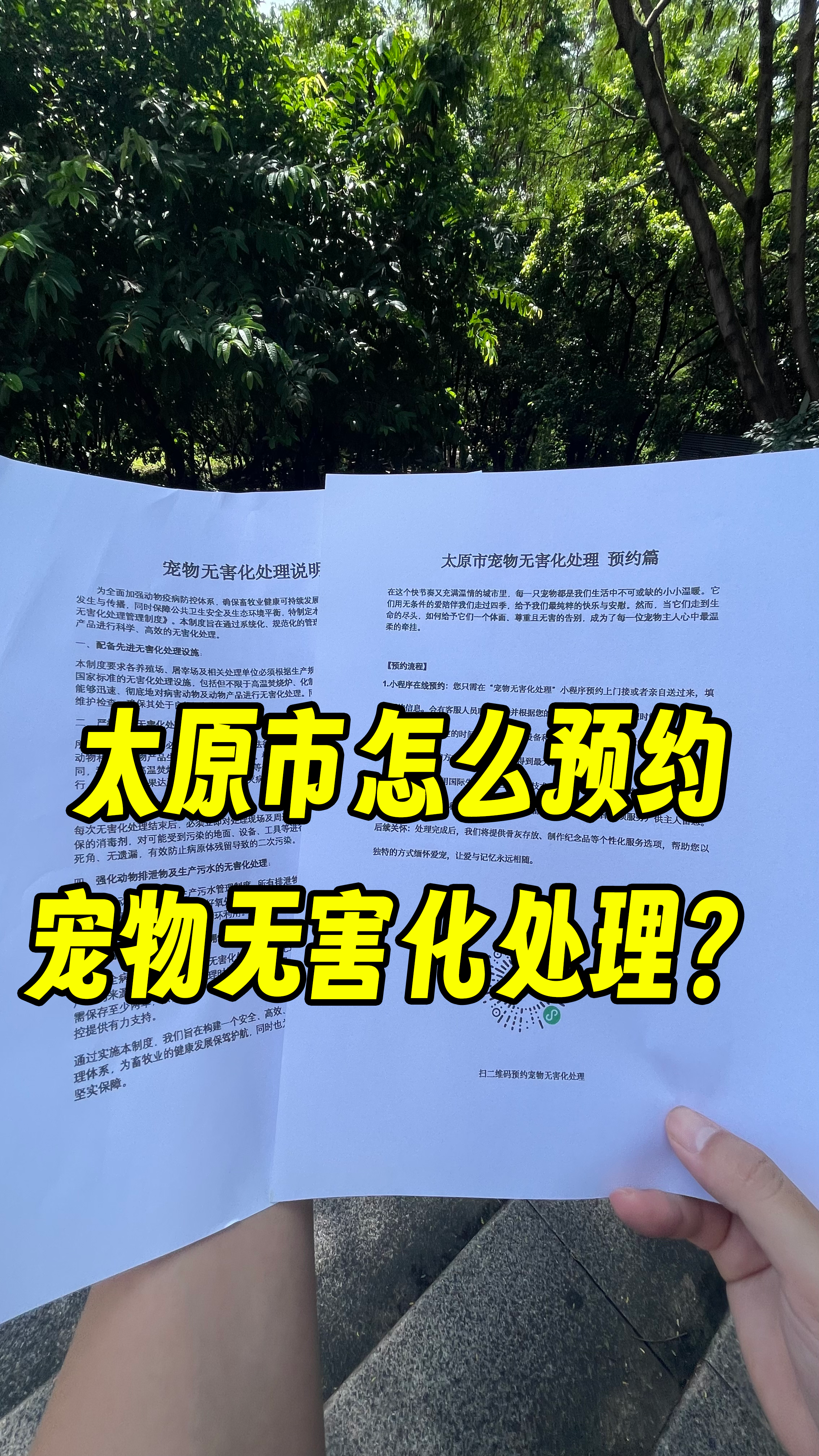 顺徳宠物告别