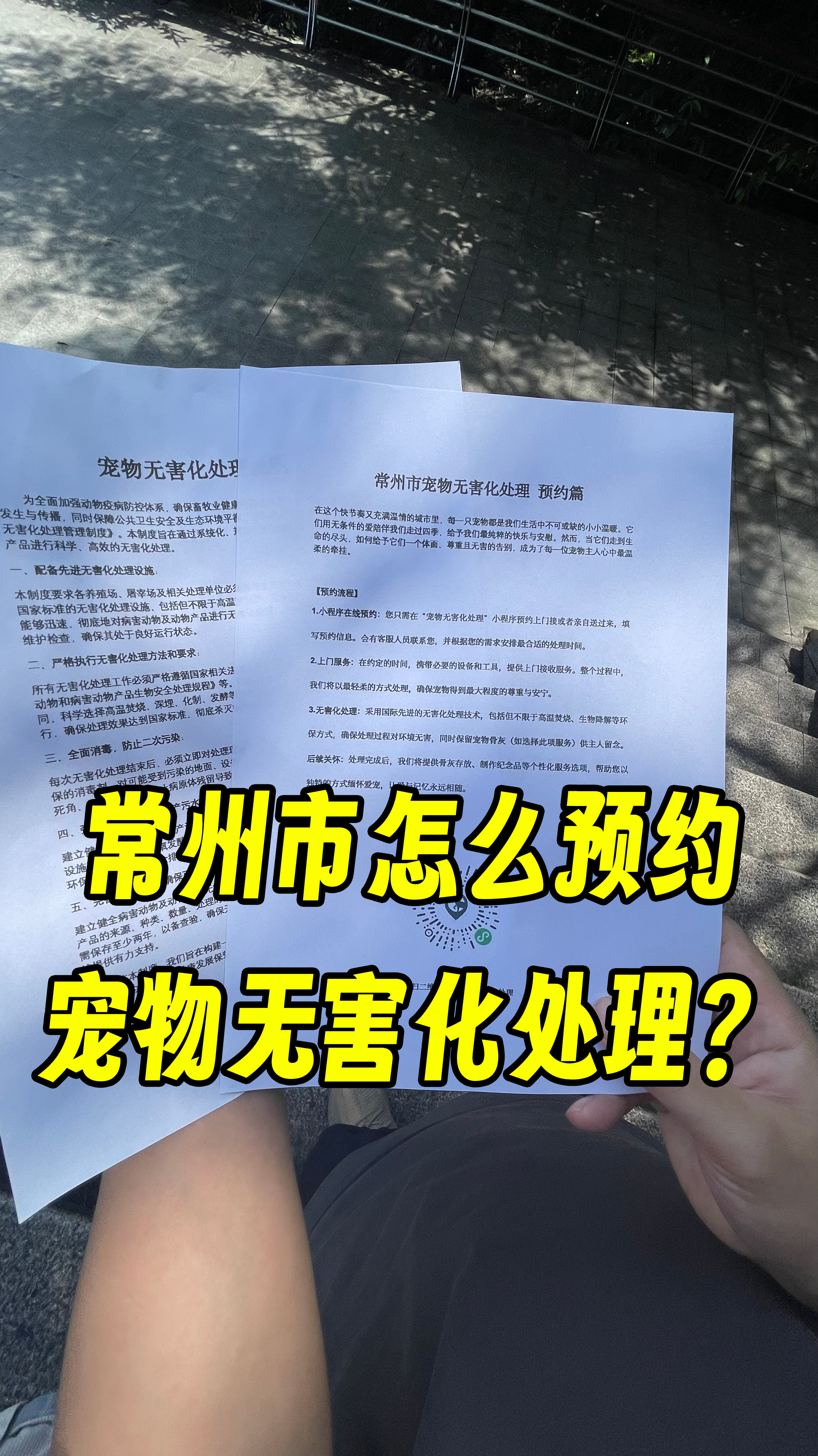 顺徳宠物接运服务