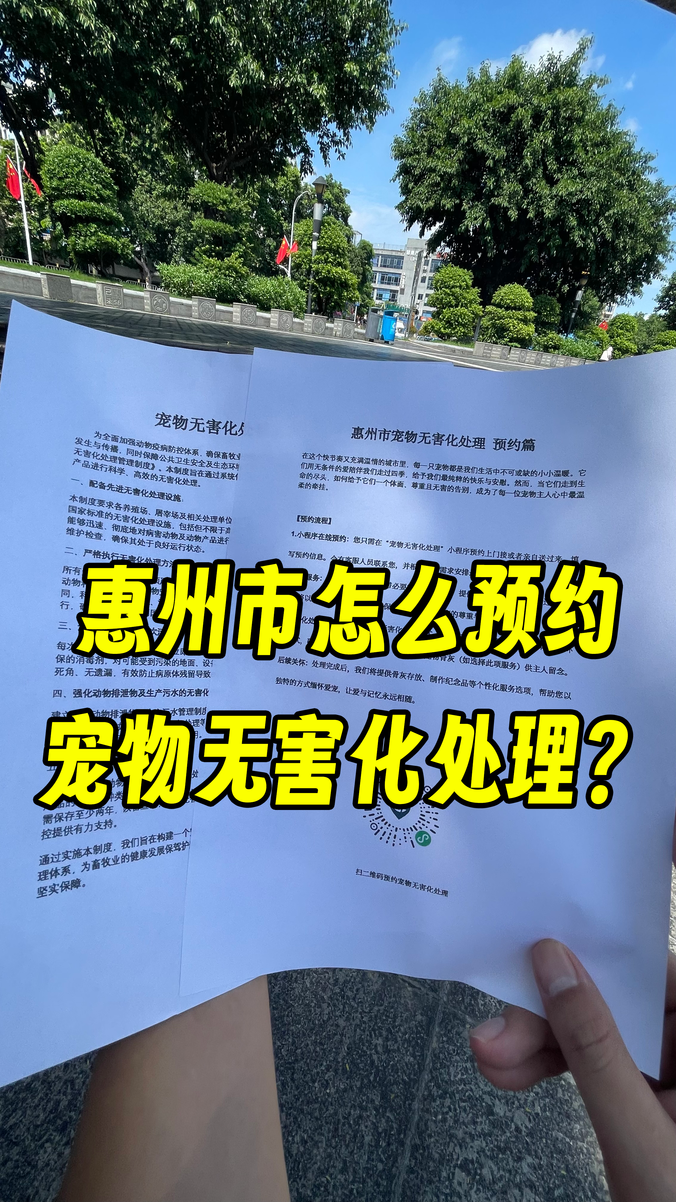 南海宠物无害化处理