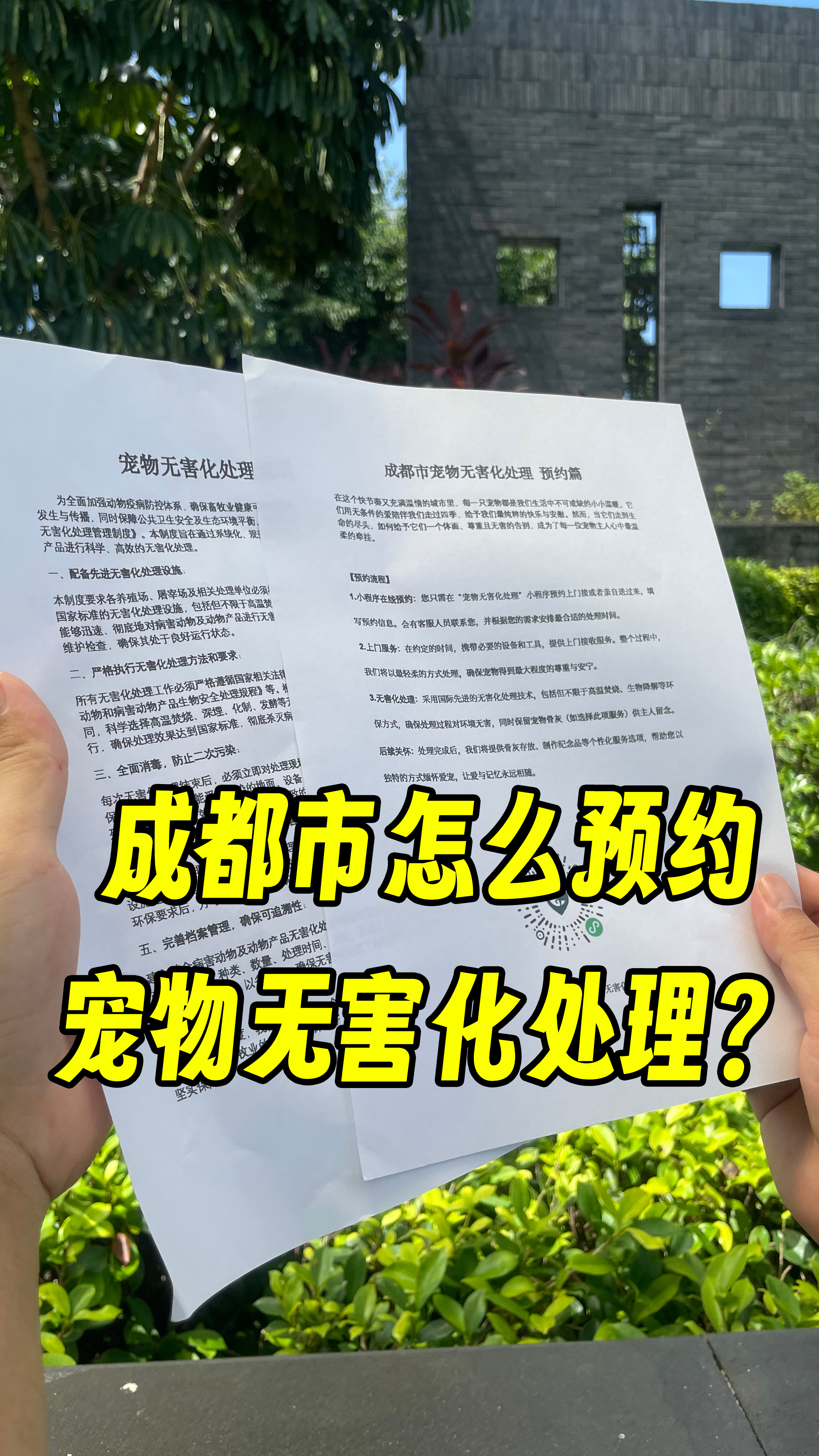 南海宠物无害化
