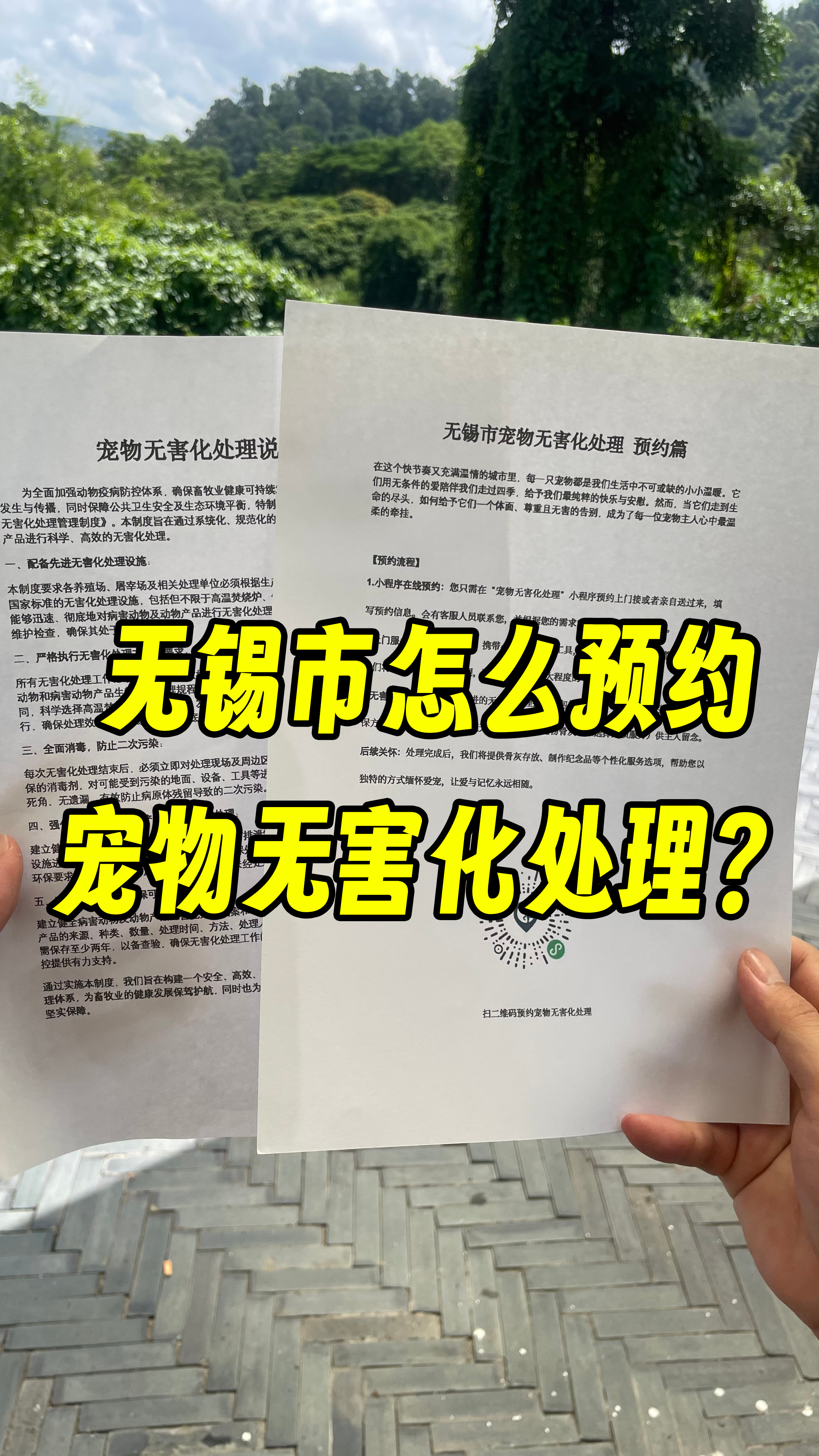 福州宠物遗体规范处理