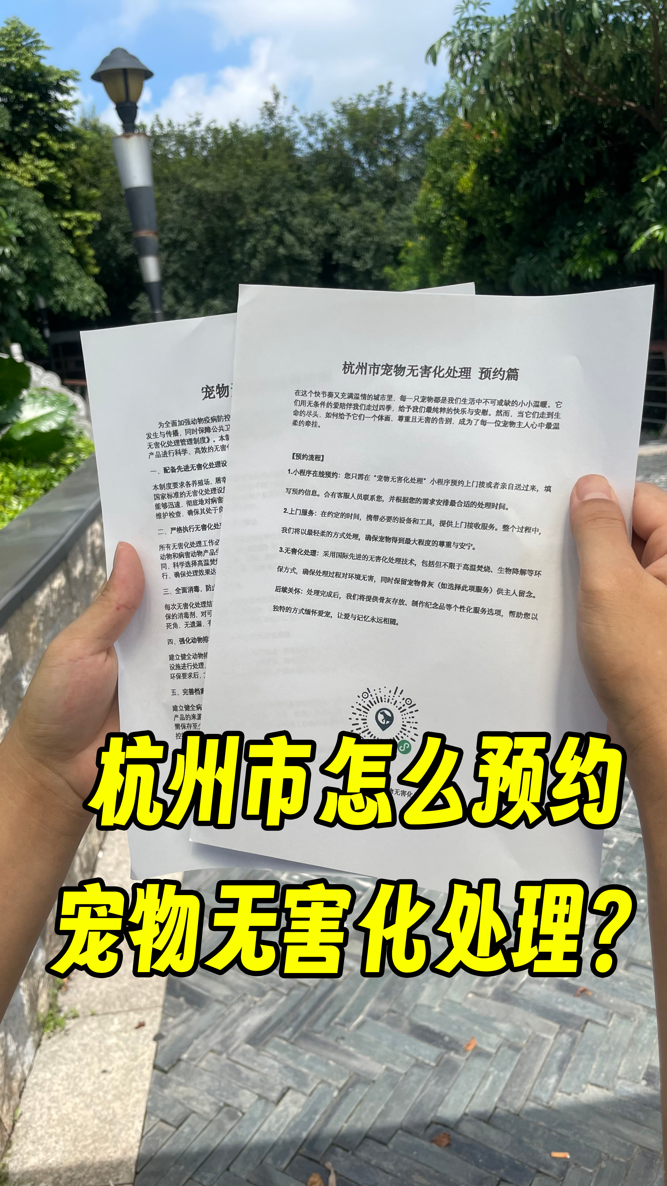 南海宠物无害化处理流程