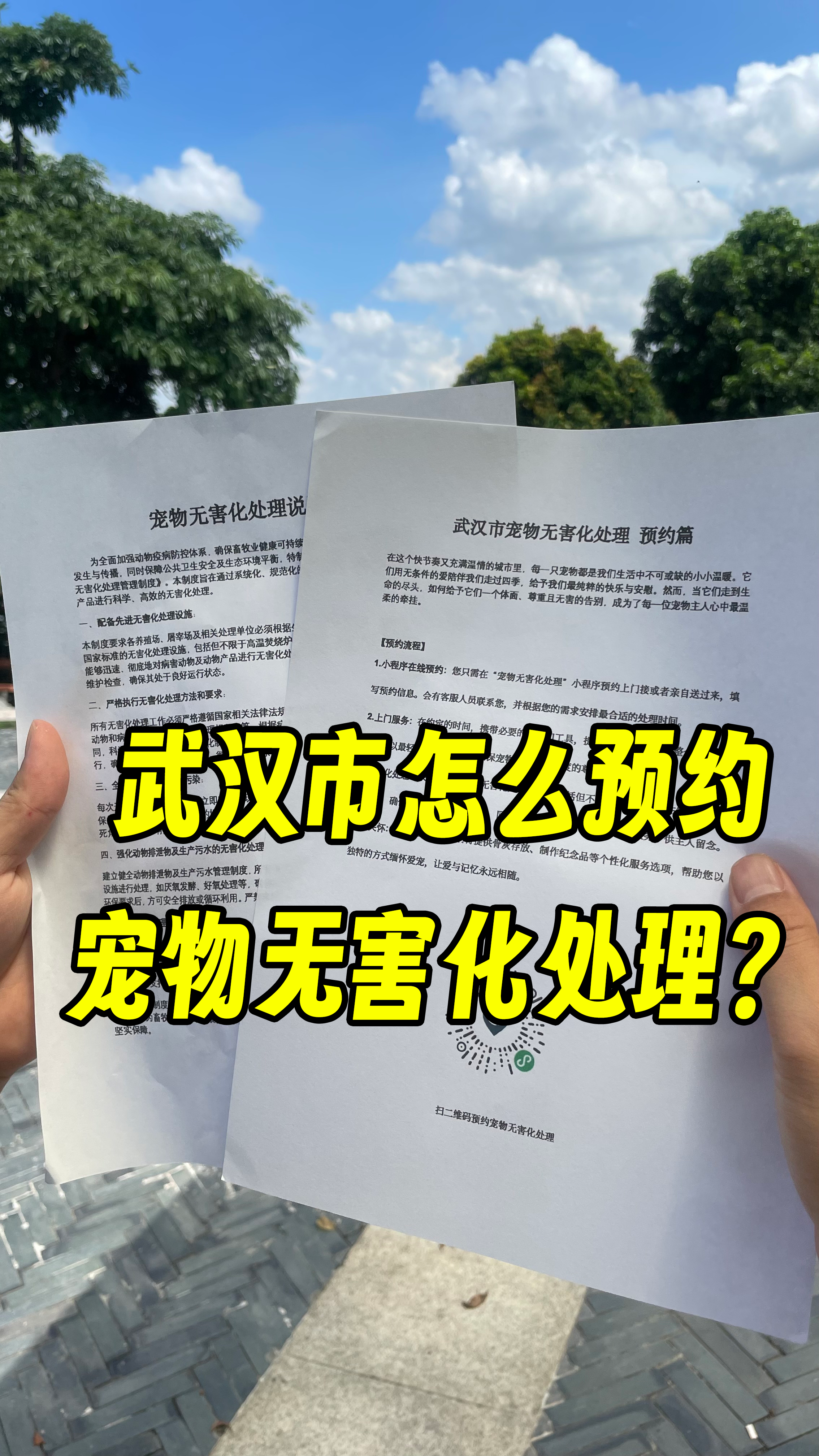 南海宠物接运服务