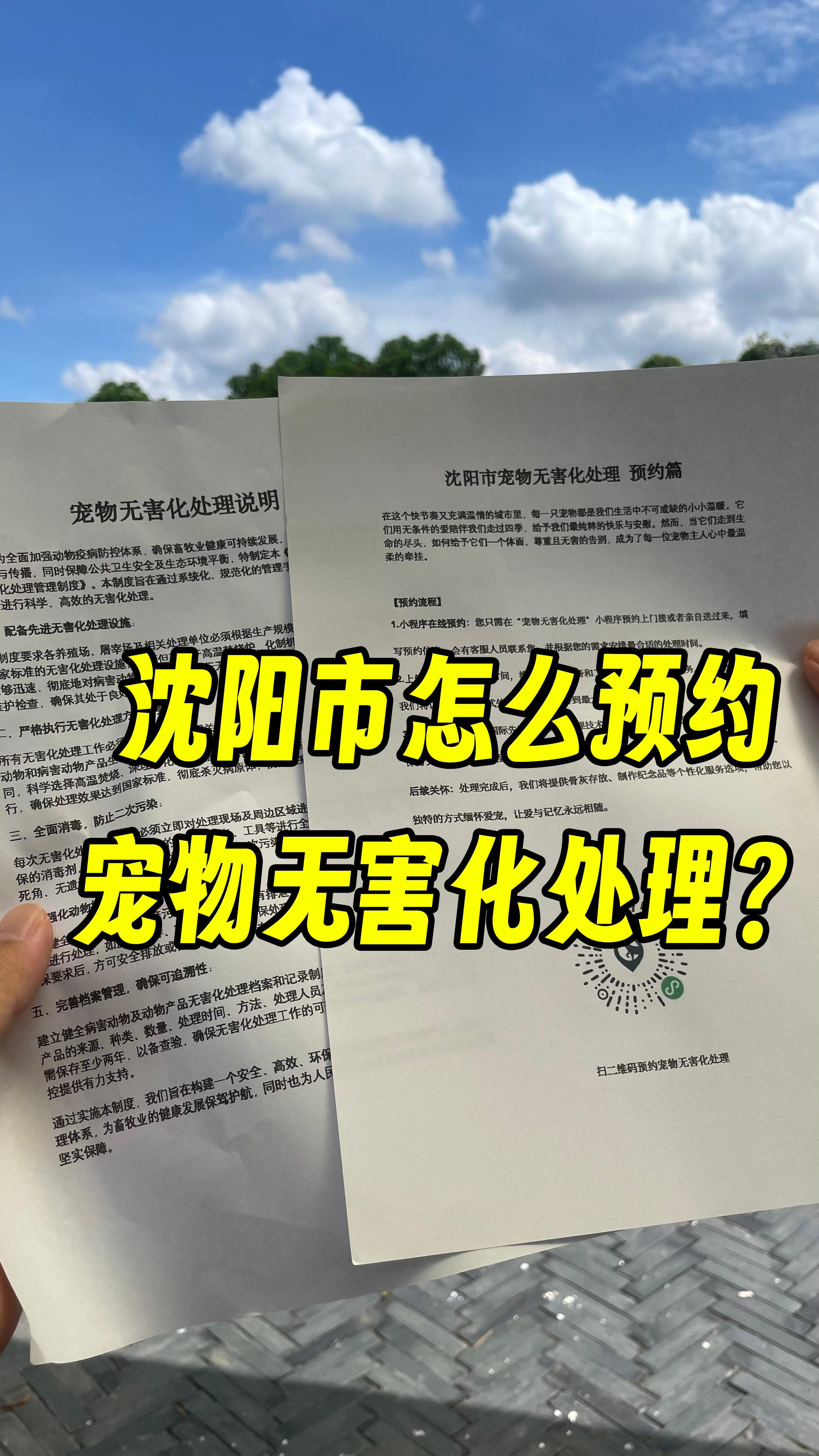 南海宠物告别厅
