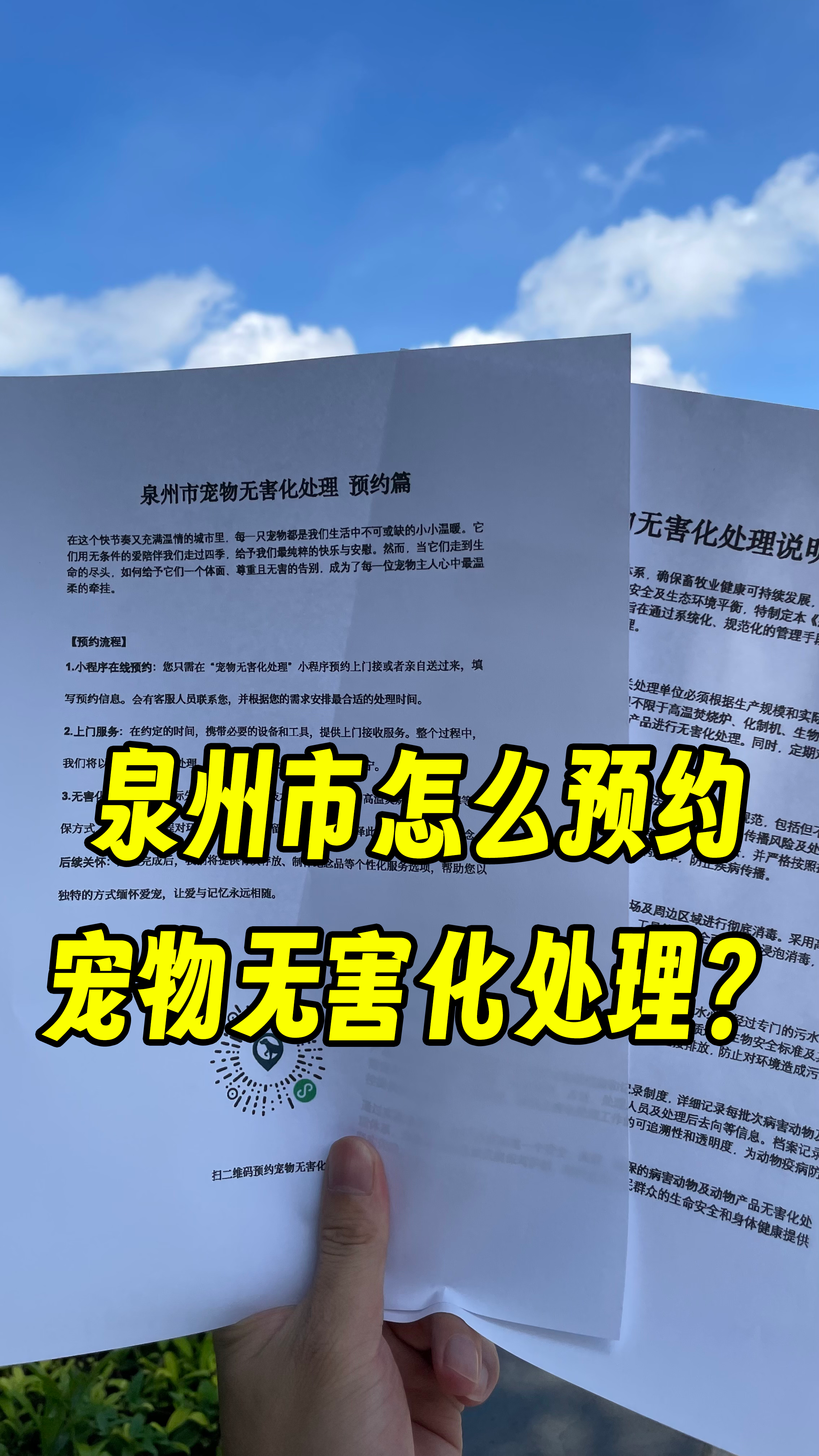 南海宠物骨灰安置
