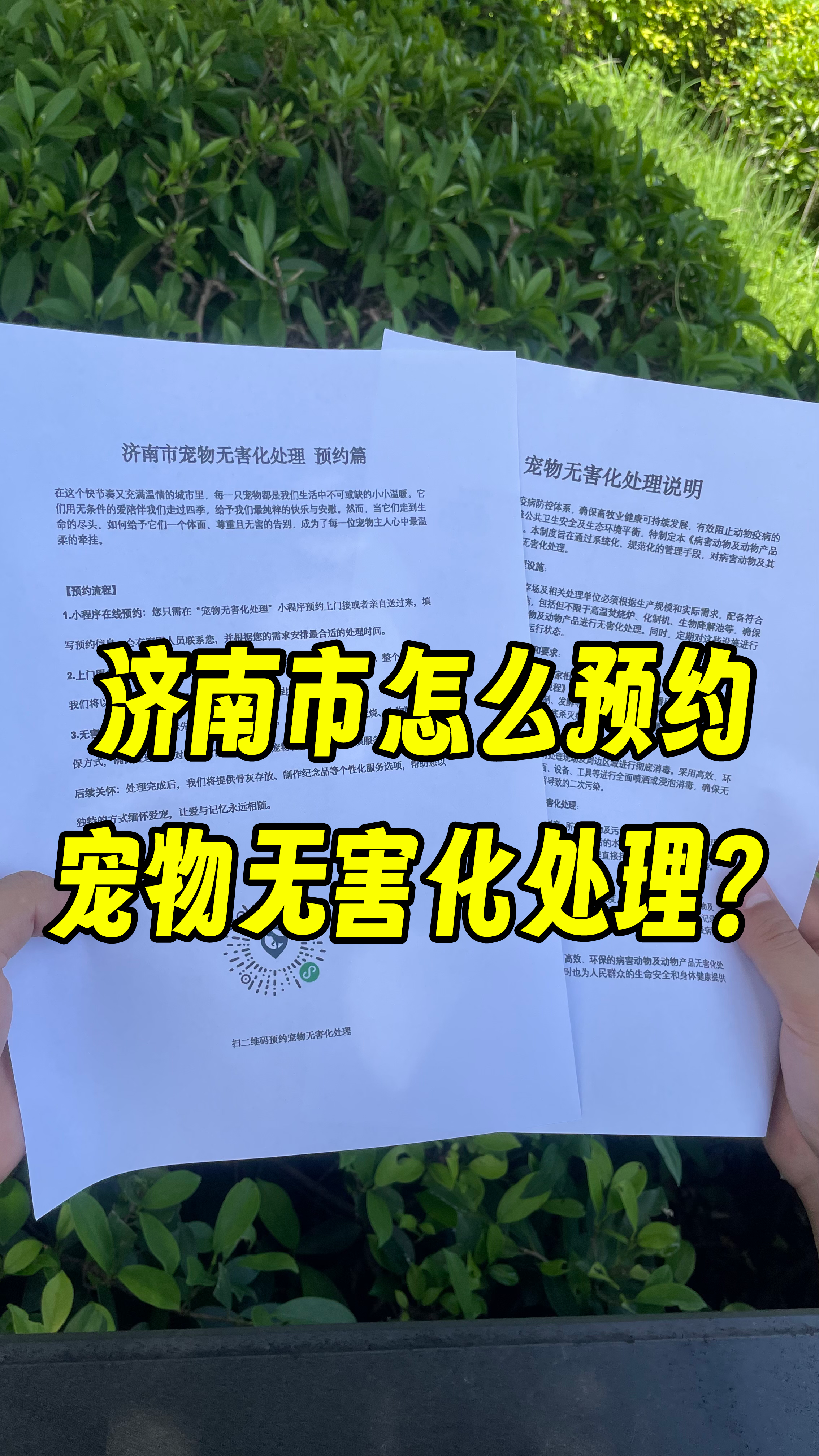 兰州宠物遗体规范处理