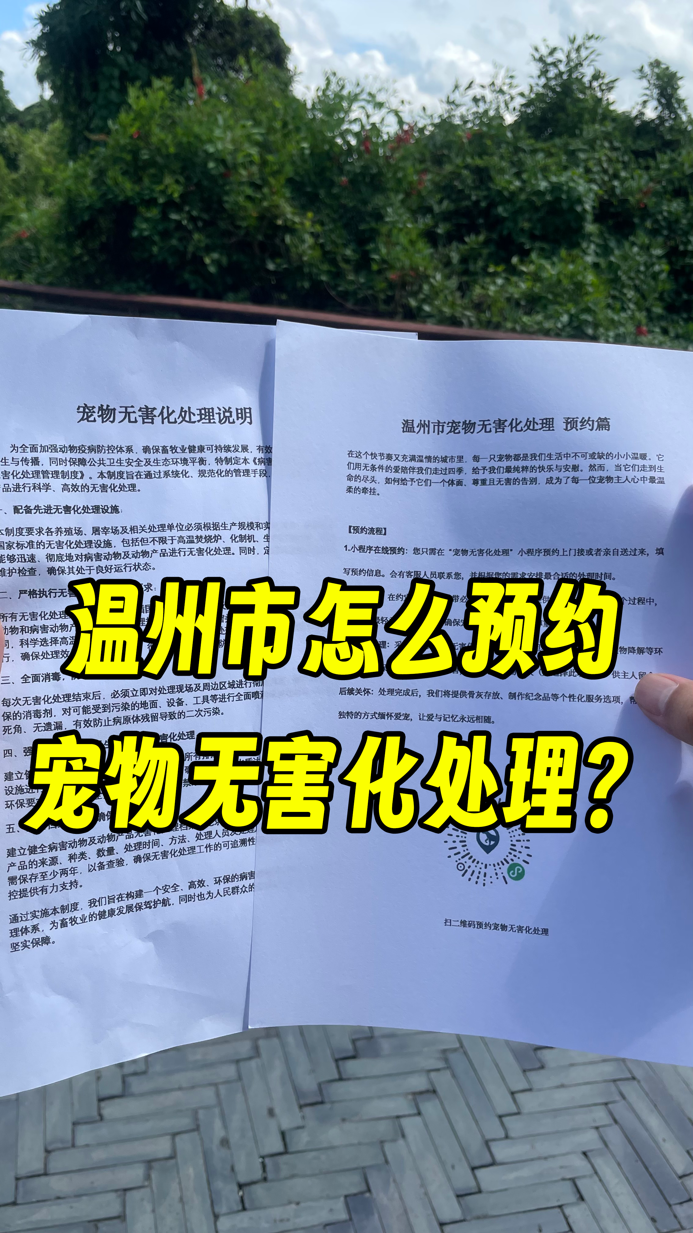 番禺宠摆渡服务