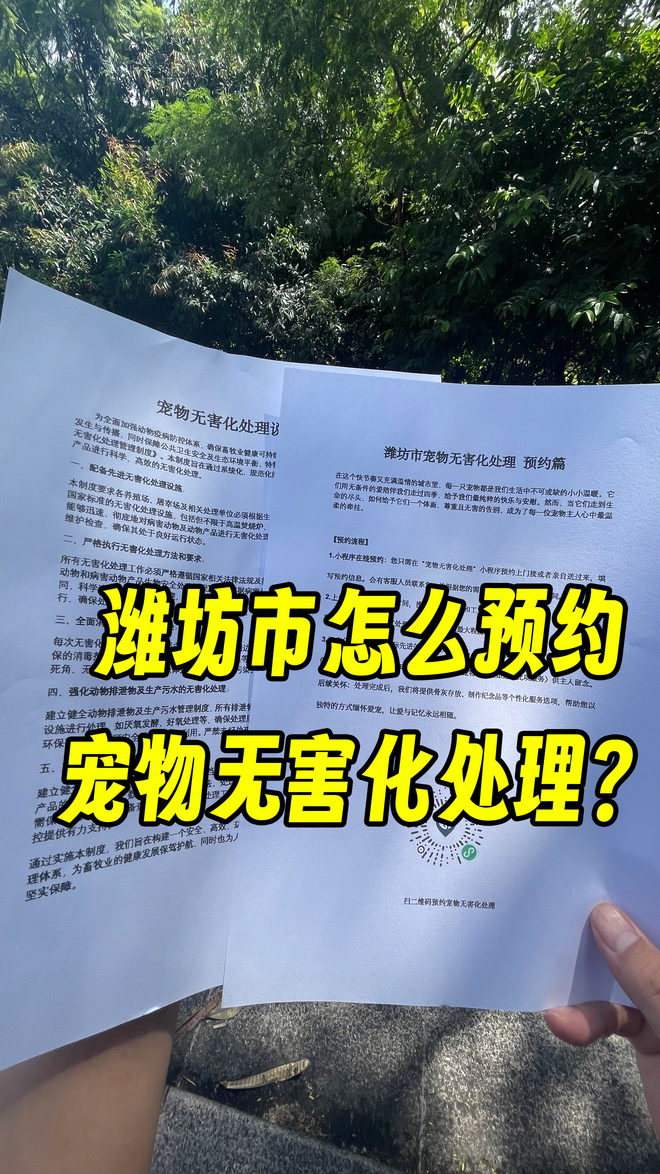 番禺宠物告别