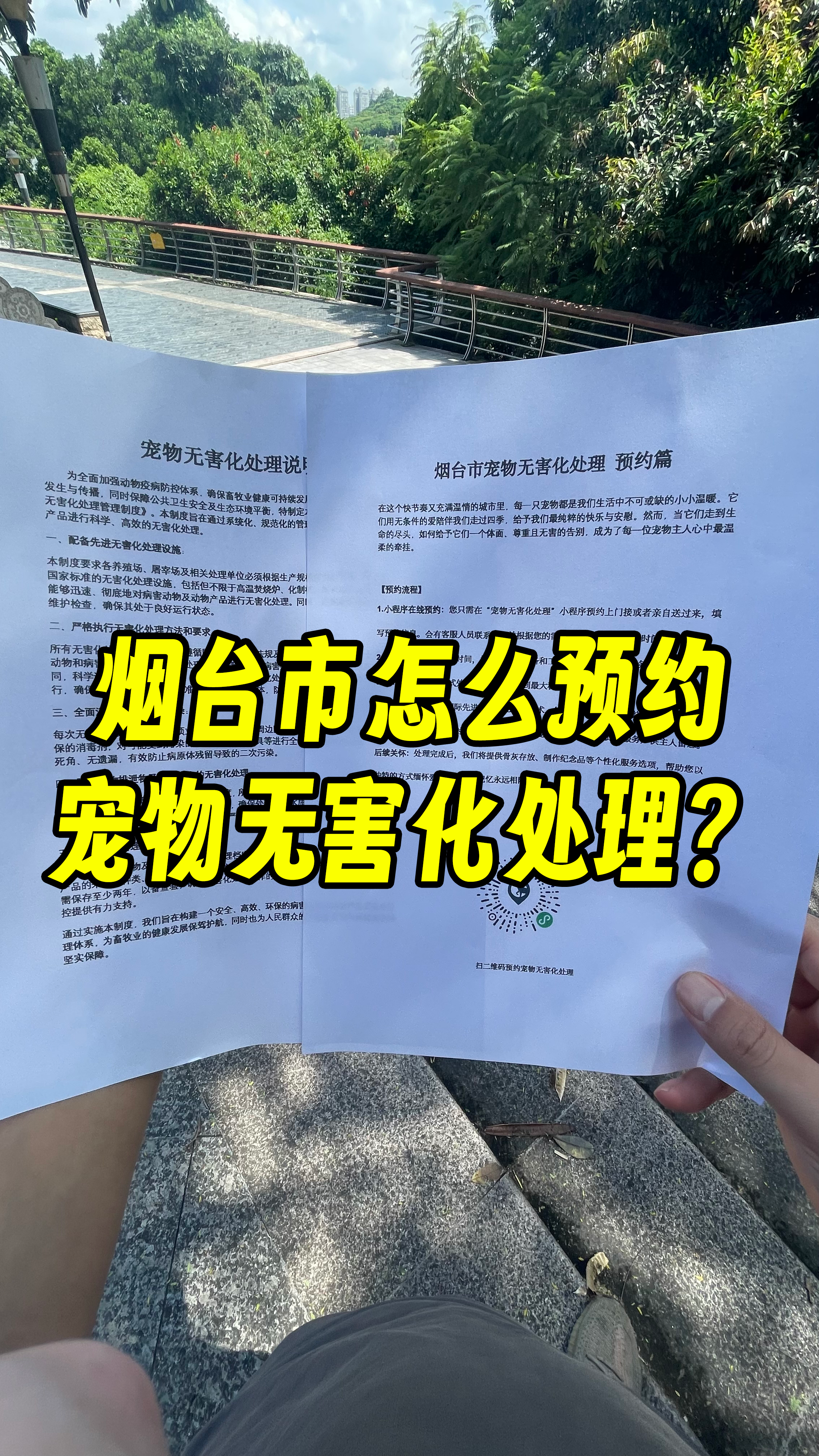 番禺宠物无害化处理流程