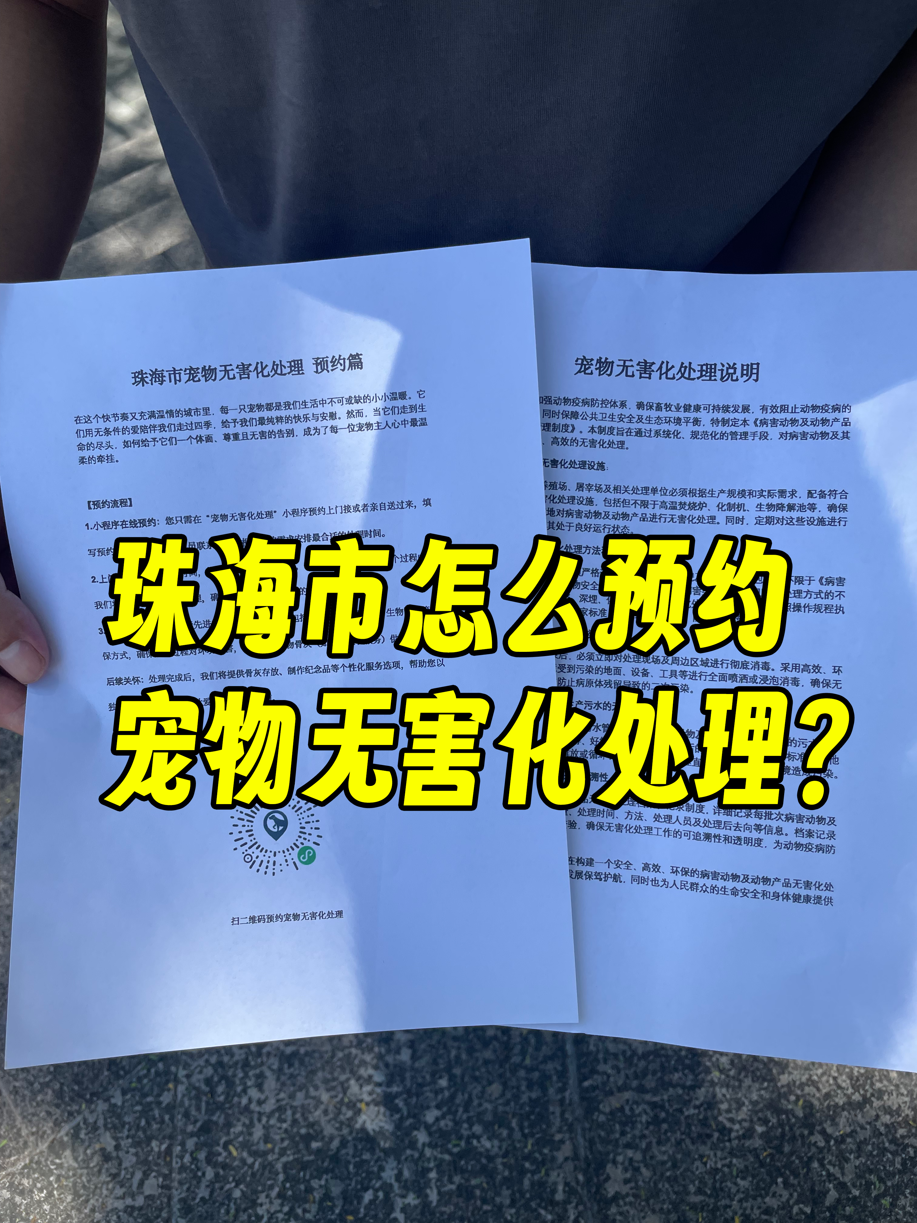 太原宠物无害化处理