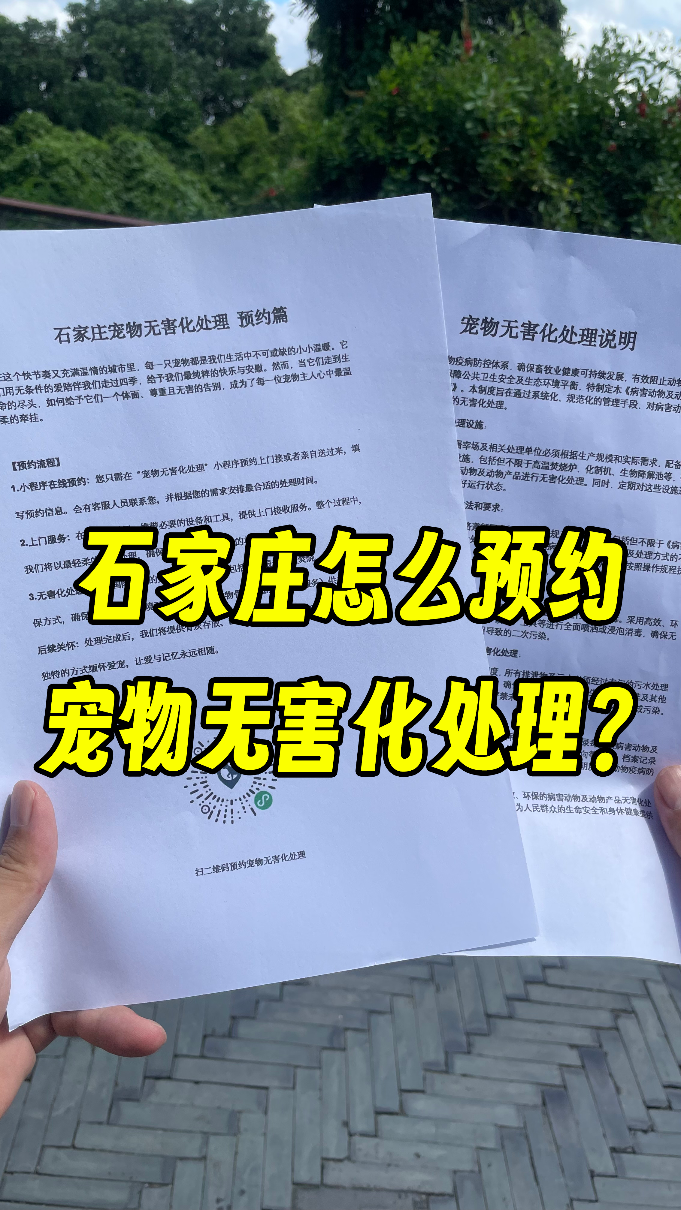 番禺宠物告别厅