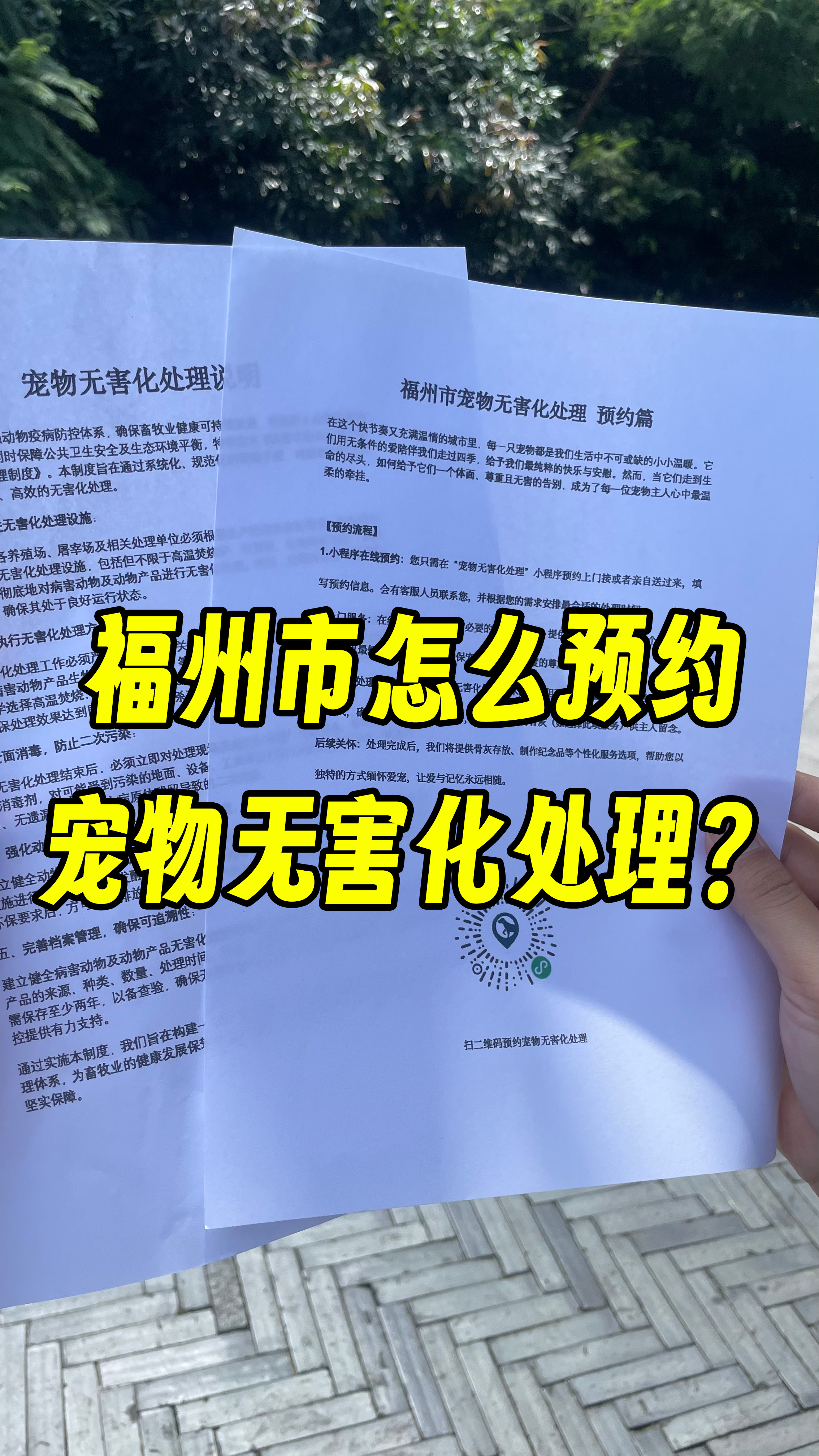 番禺宠物骨灰安置