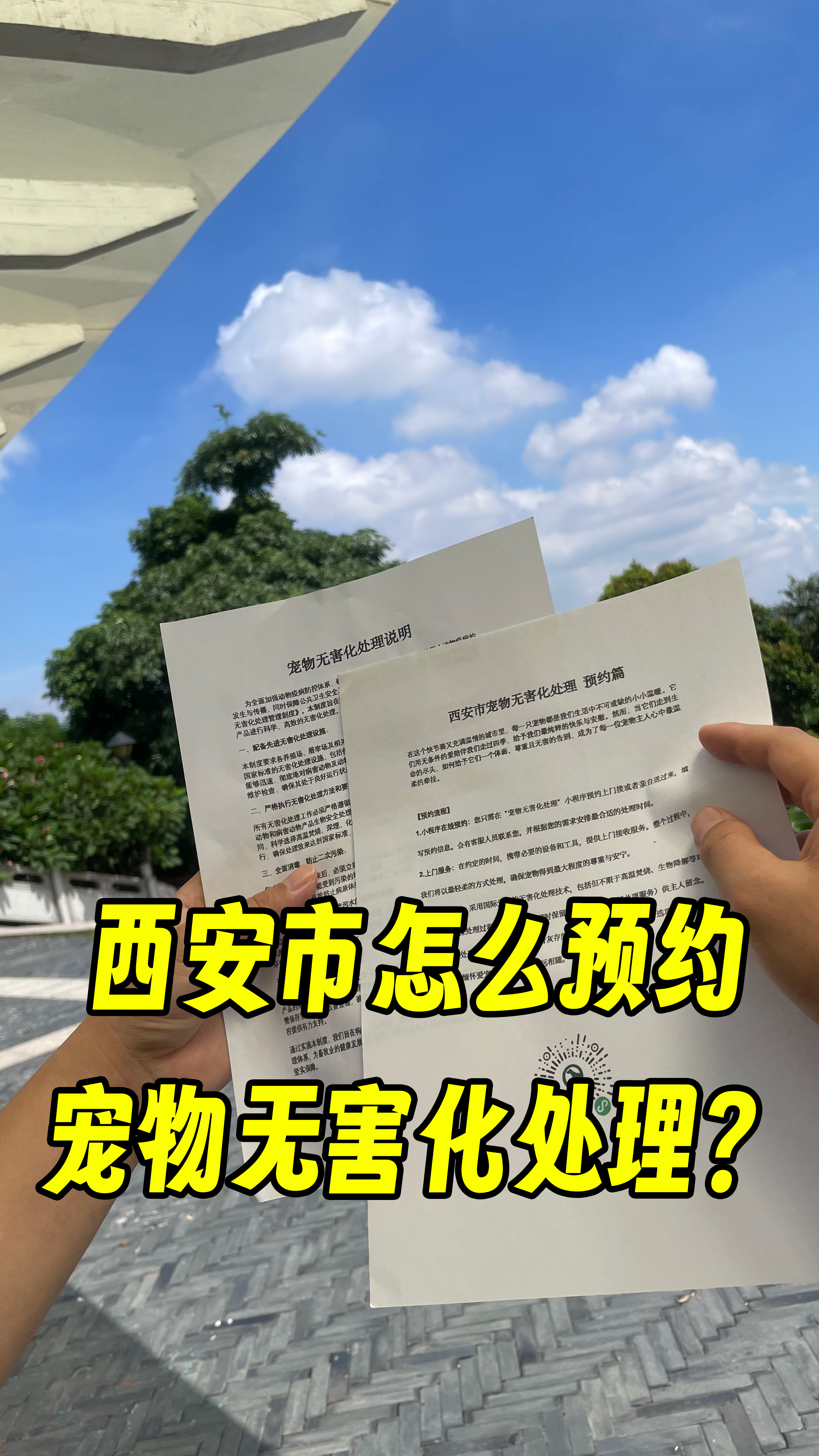 增城宠摆渡服务