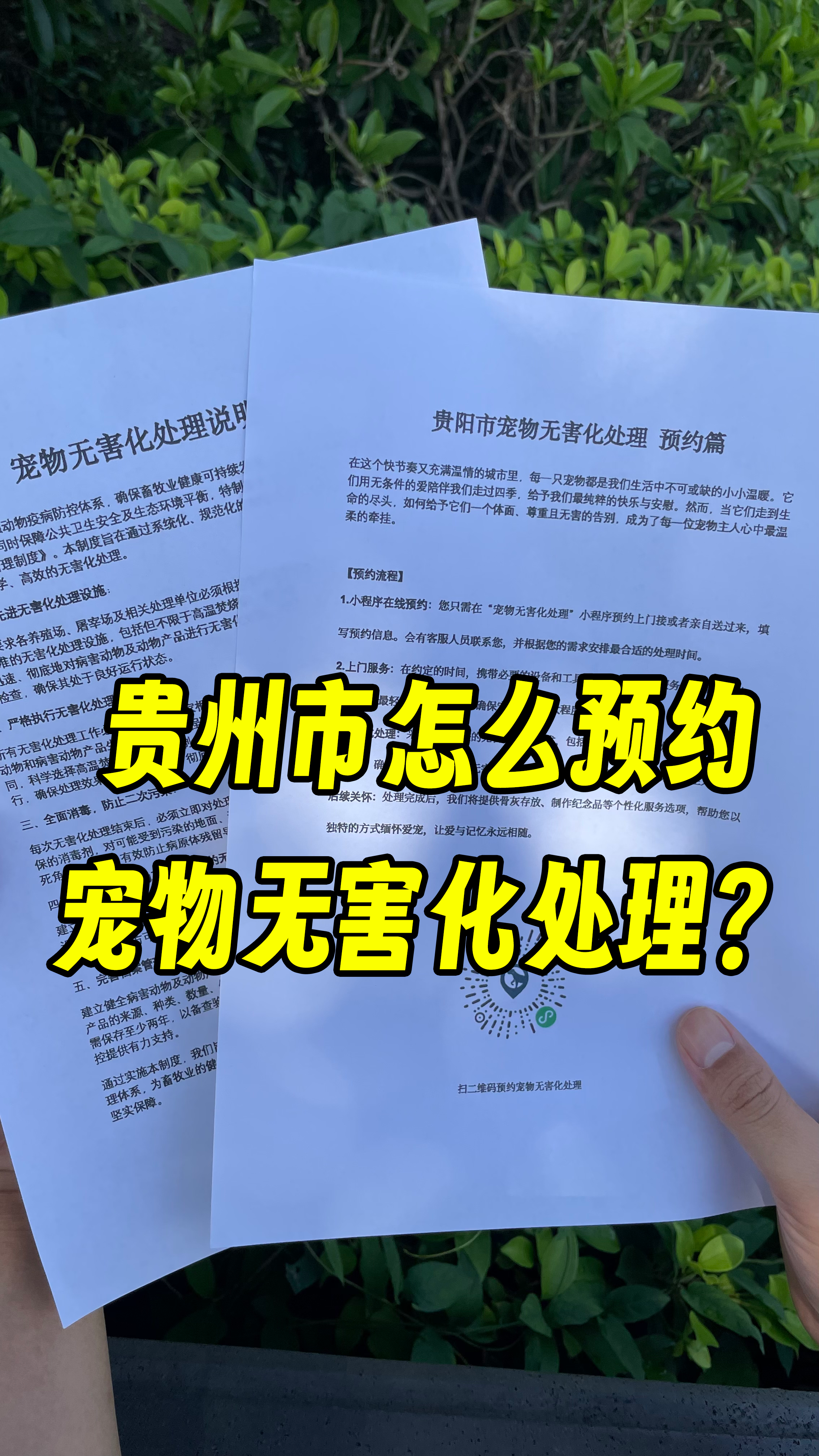 抚州宠物遗体规范处理