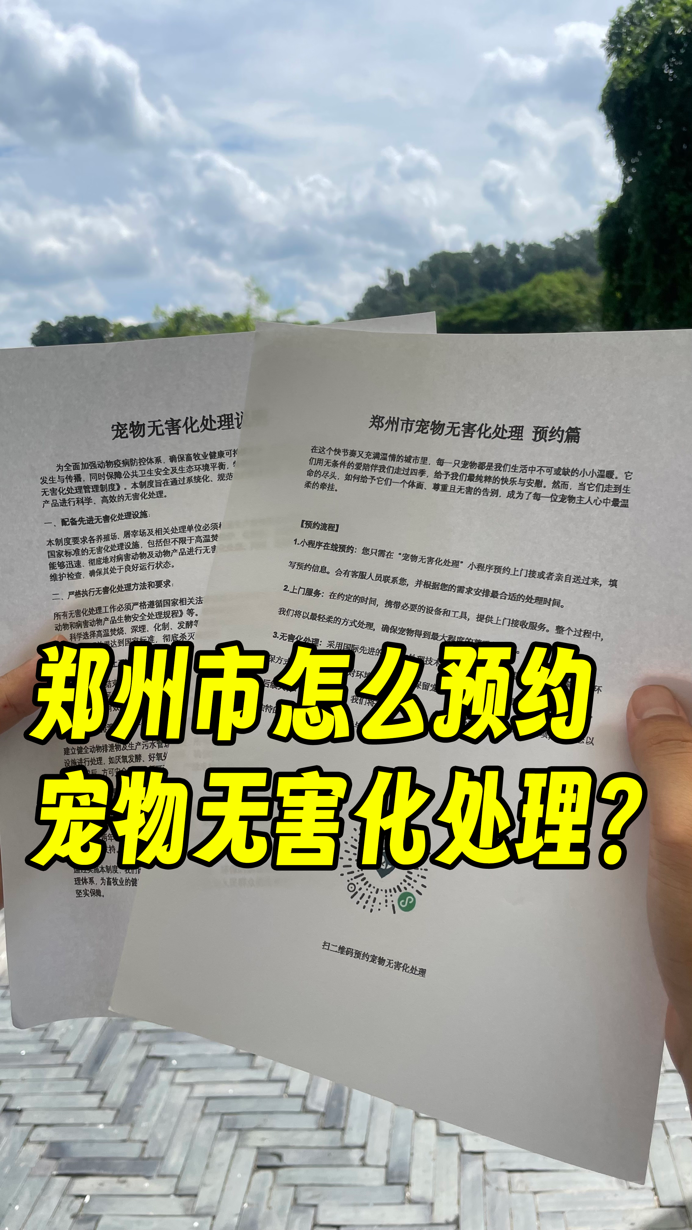 增城宠物无害化处理流程