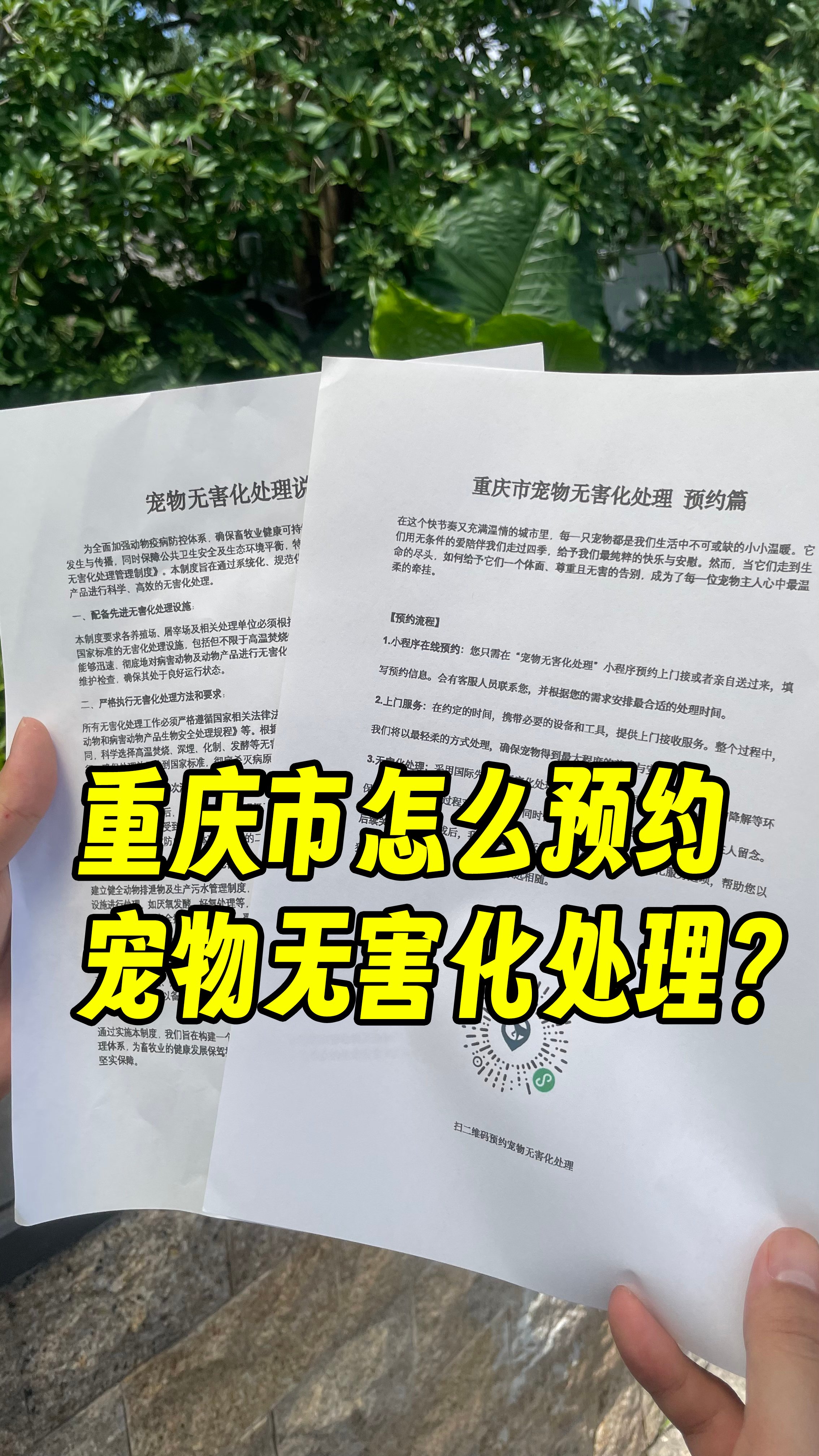 增城宠物接运服务
