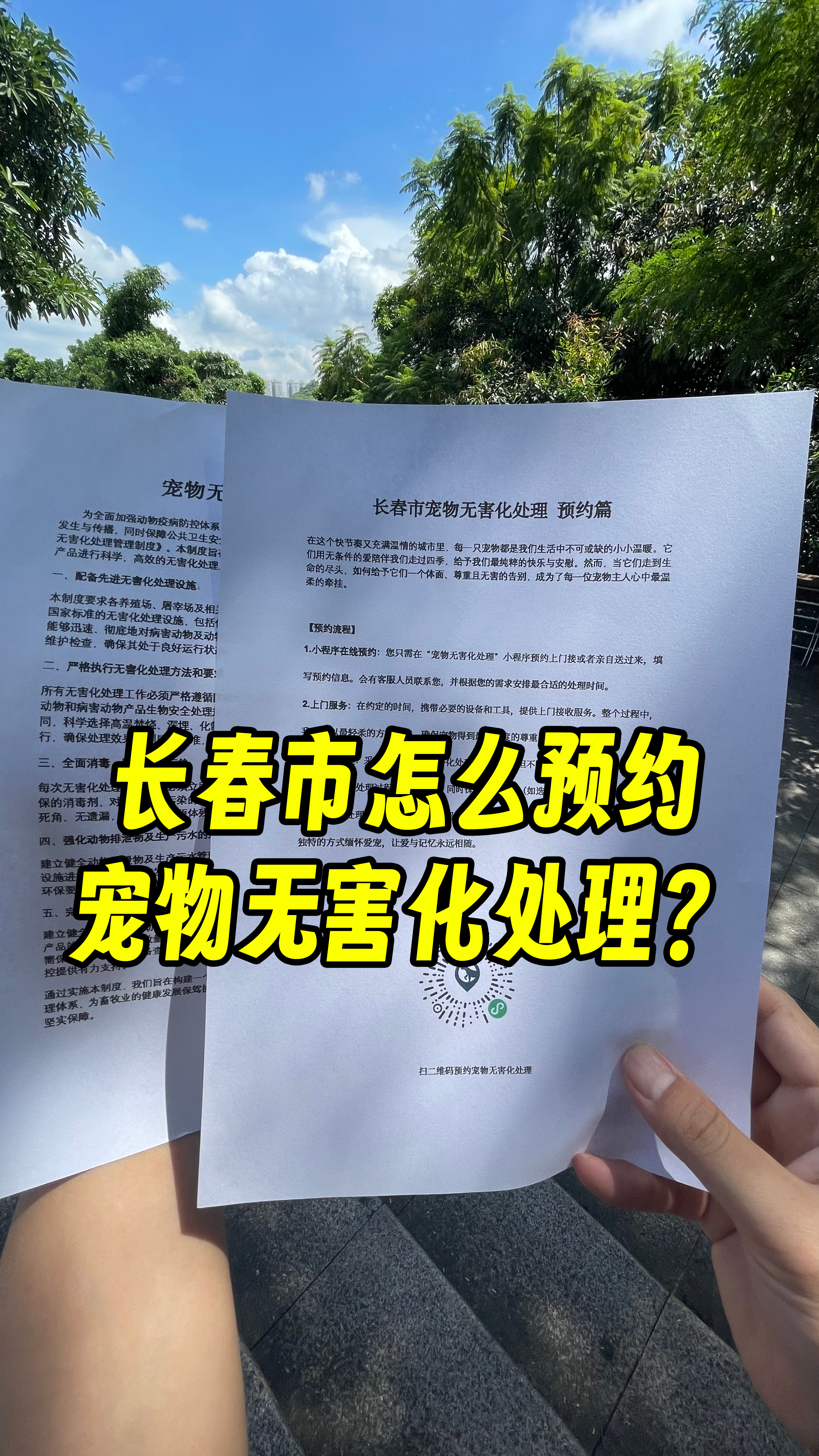 肇庆宠物无害化处理