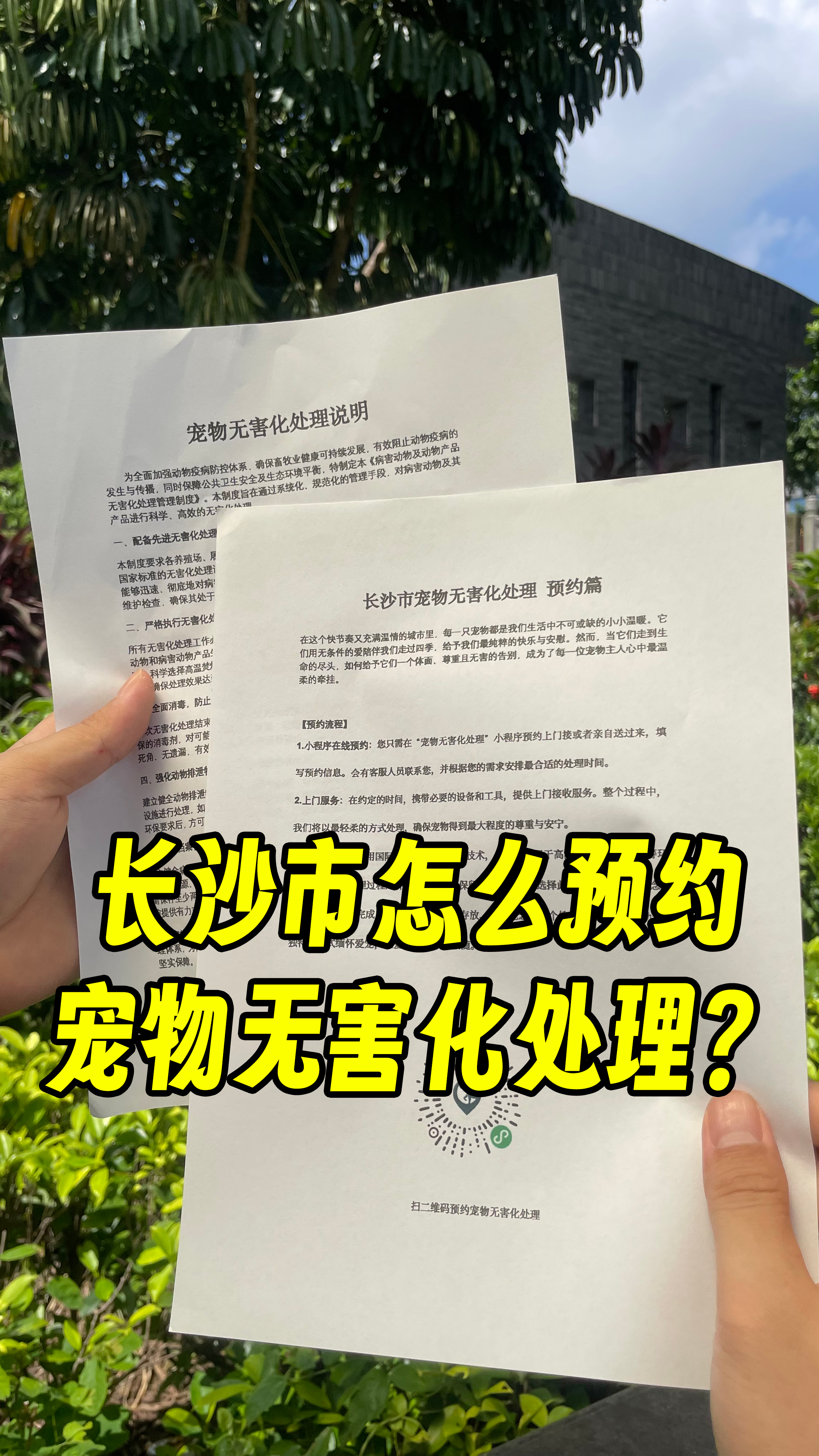 从化宠物无害化处理