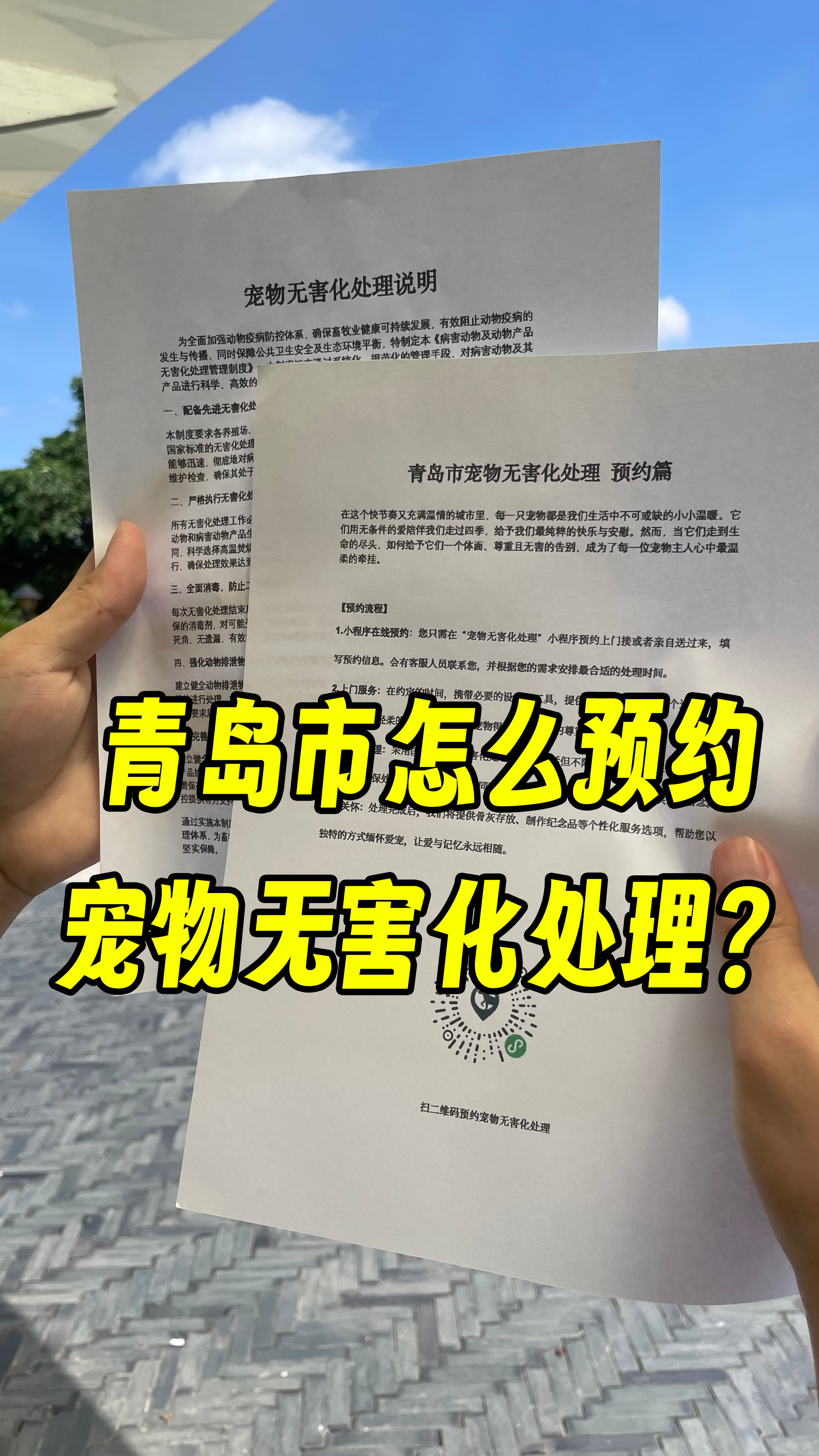 中山宠物无害化处理