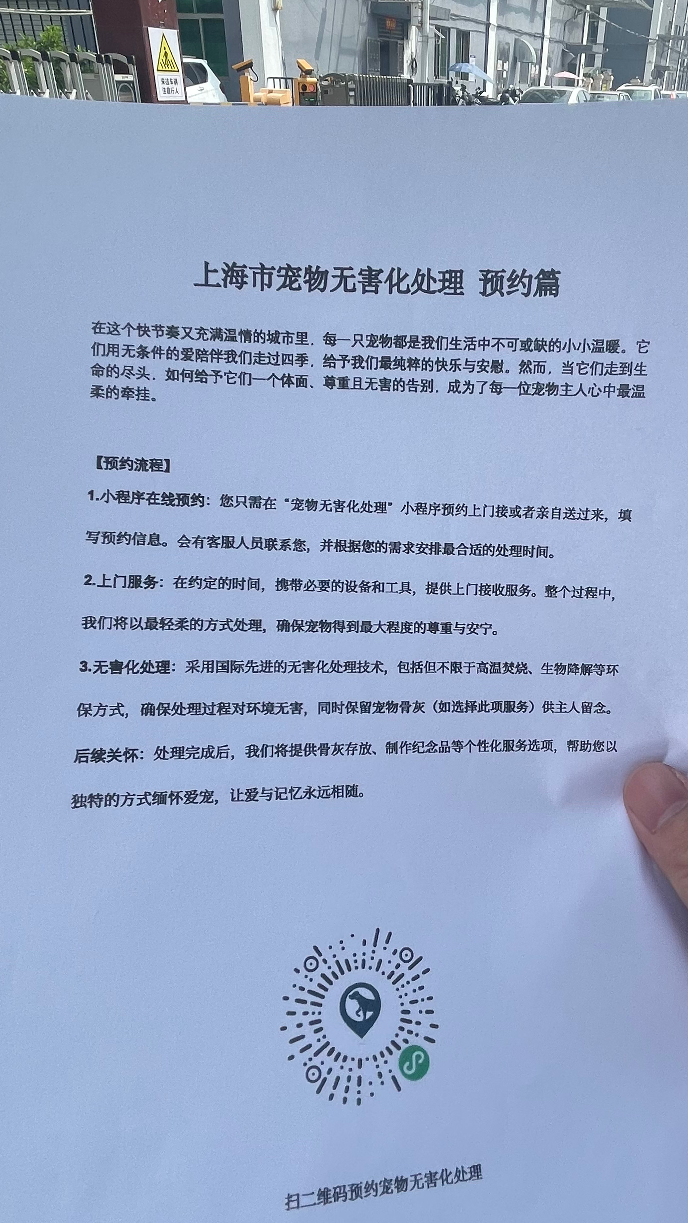 从化宠摆渡服务