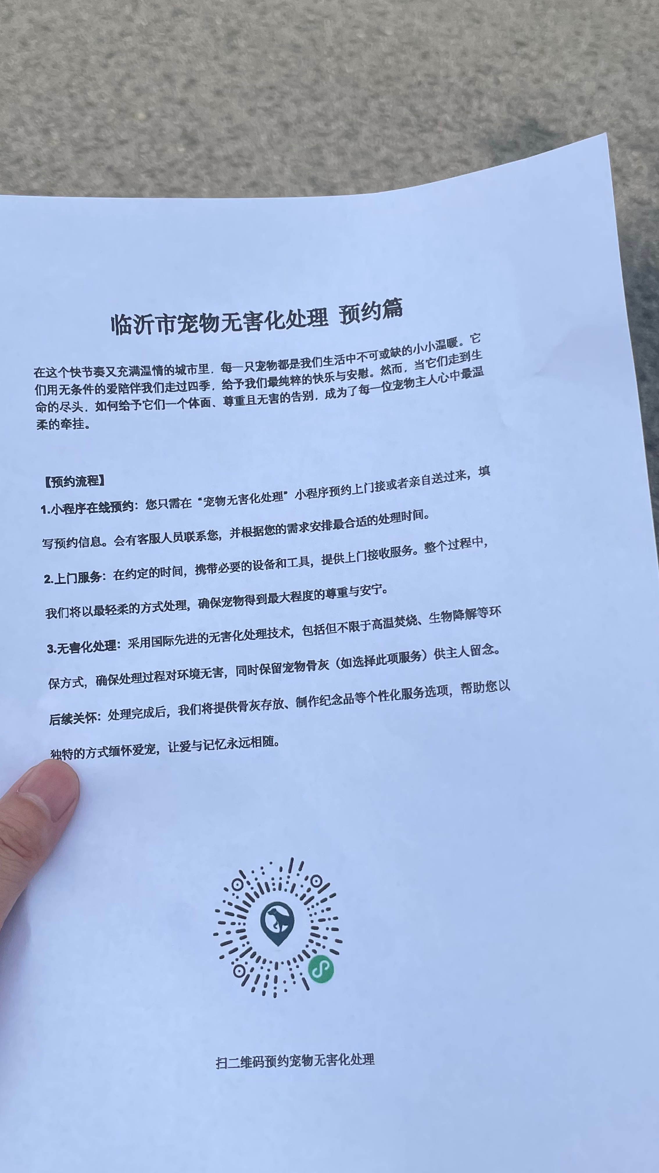 重庆宠物无害化处理