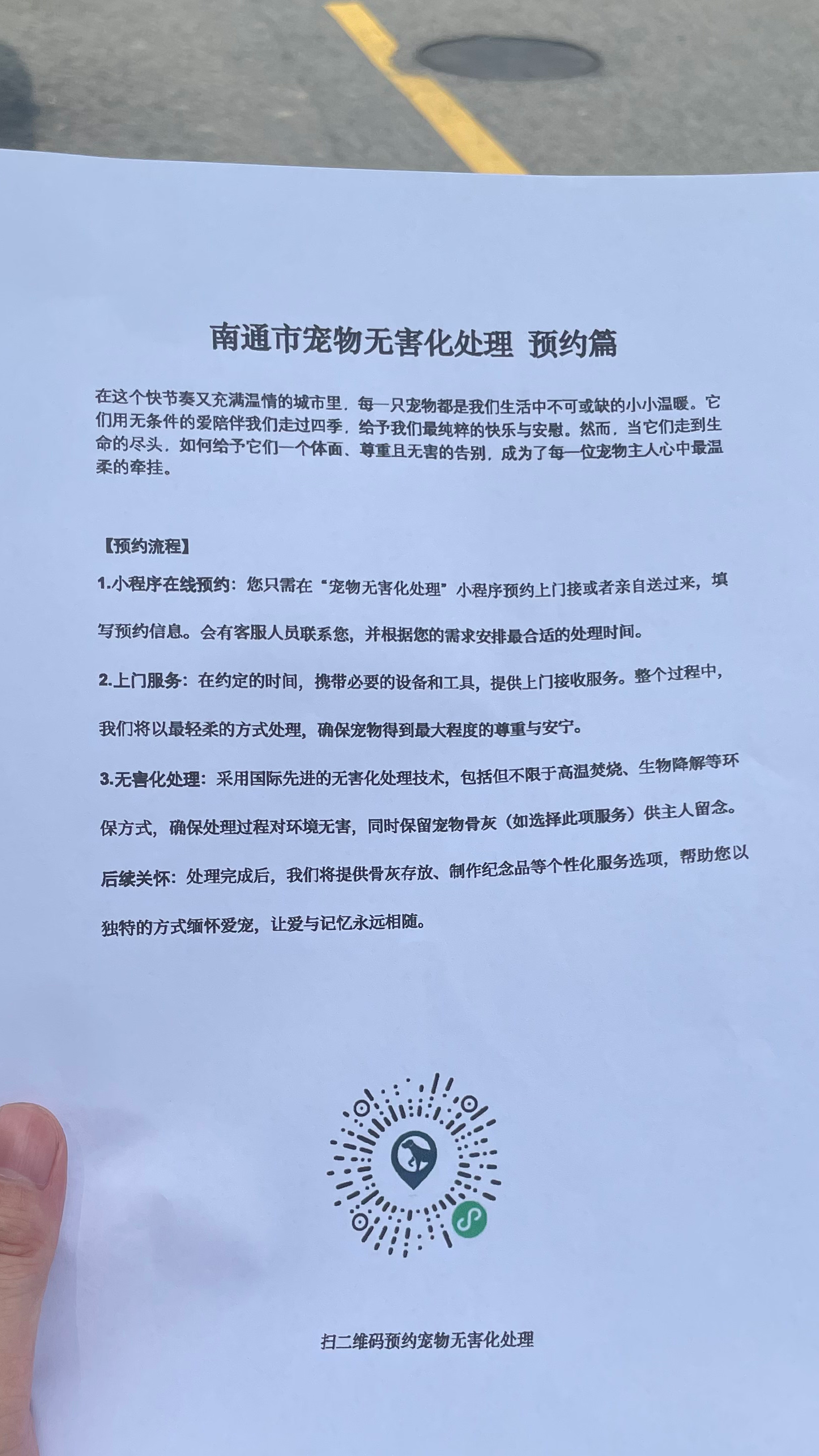 仙桃宠物遗体规范处理