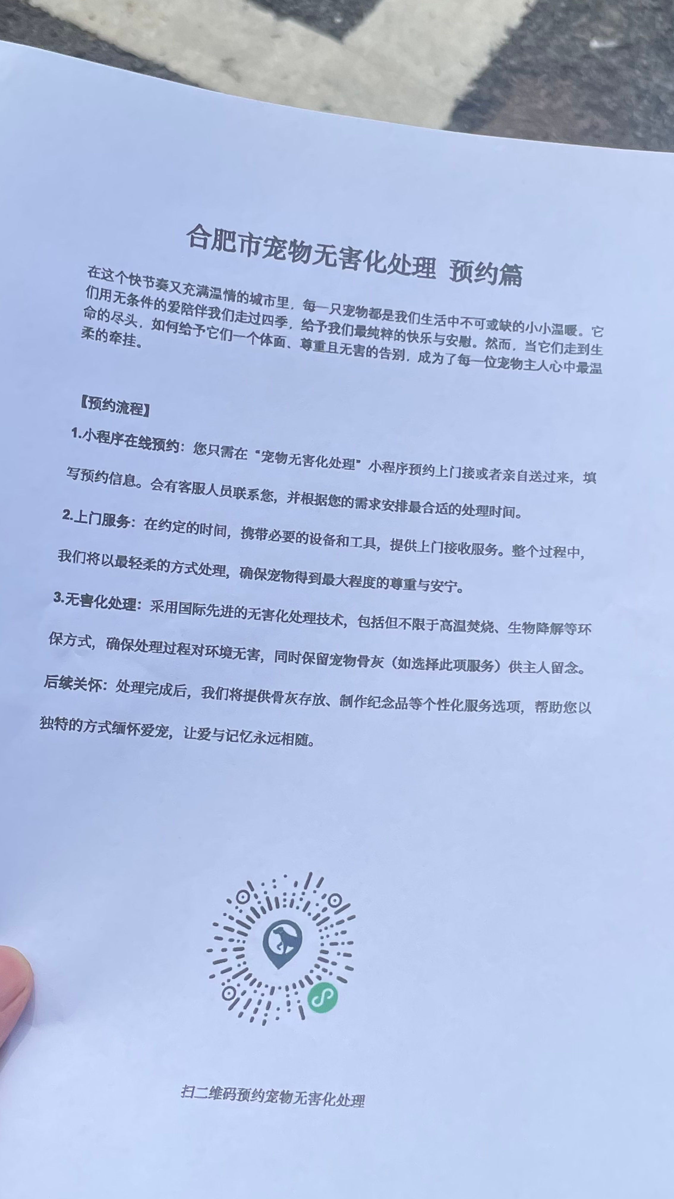花都宠物骨灰安置
