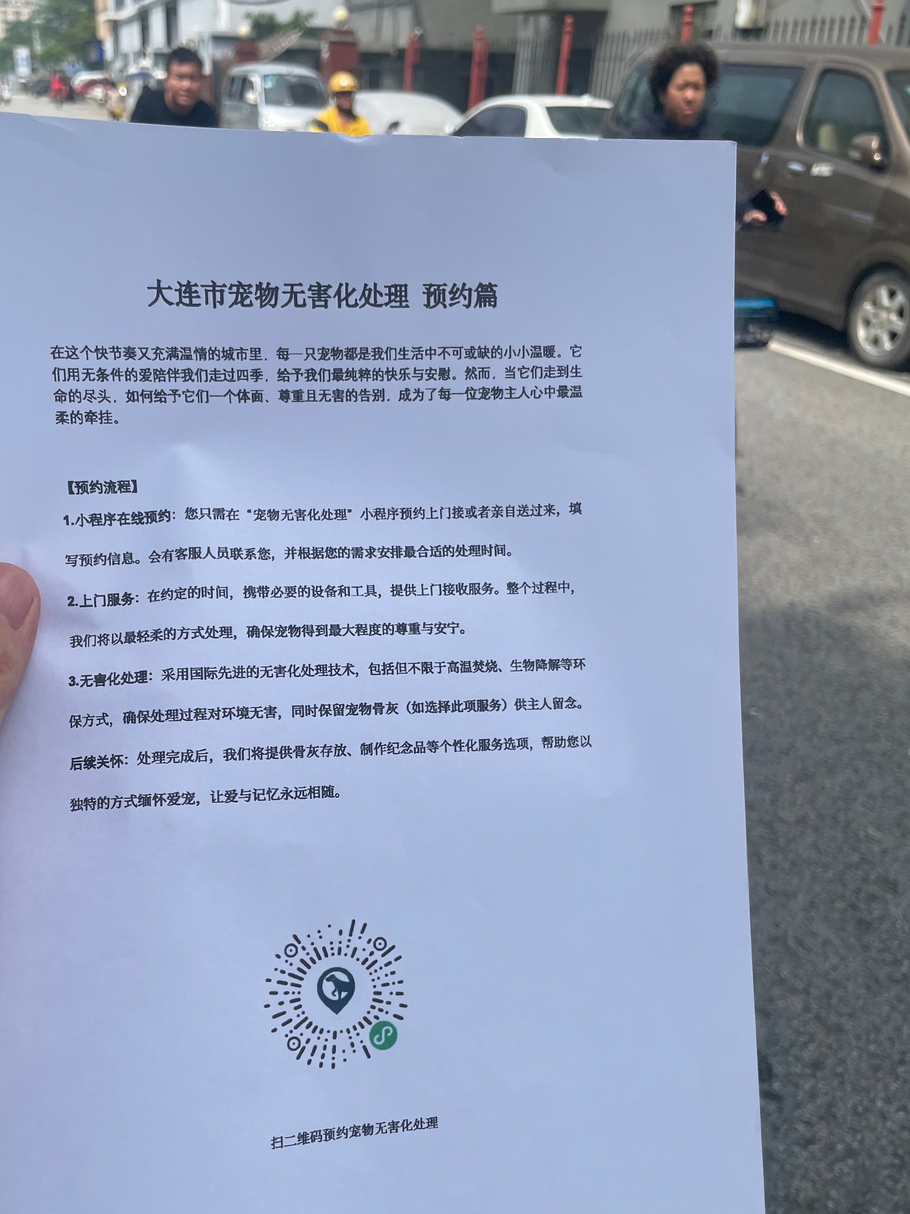 南沙宠摆渡服务