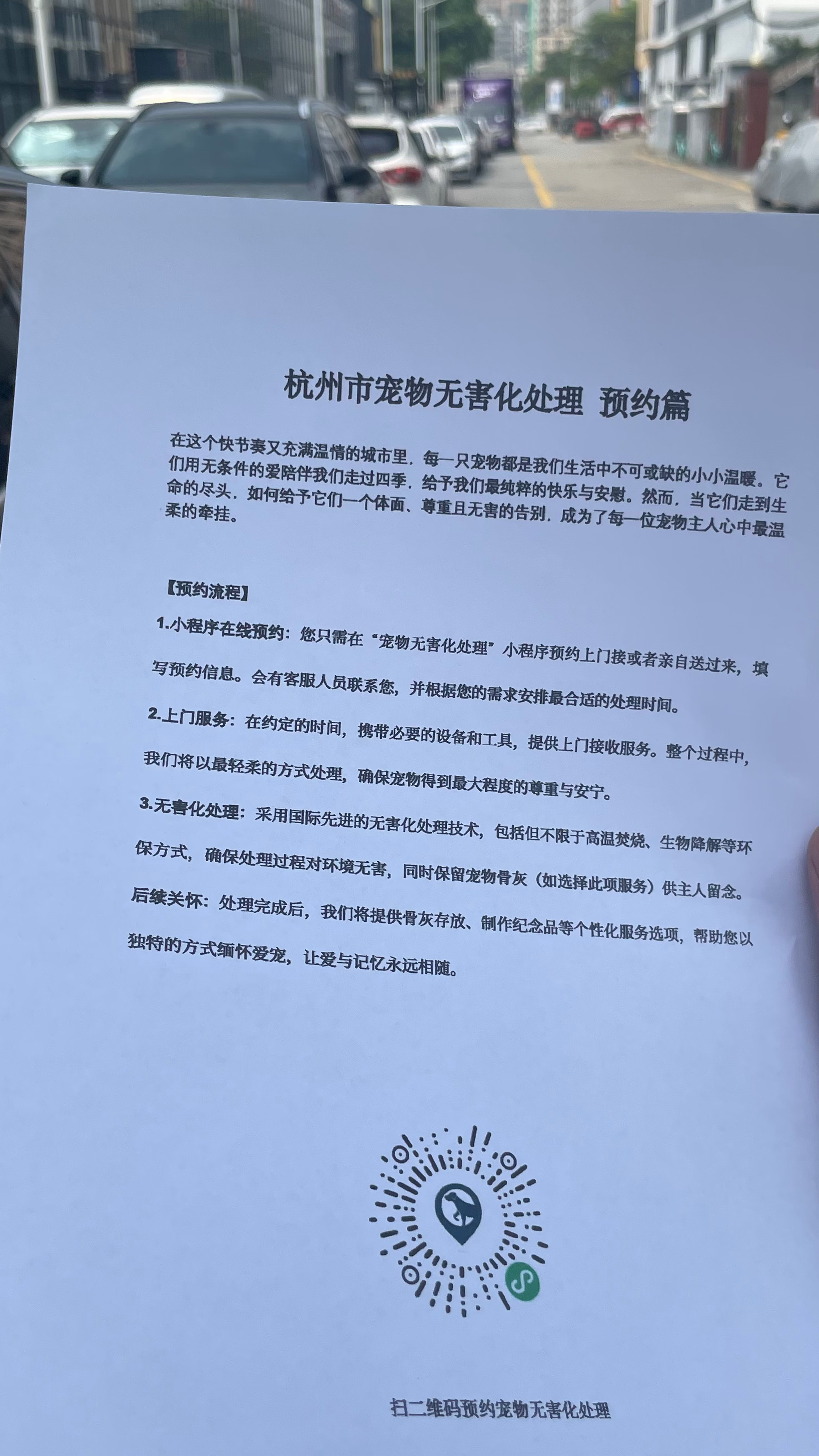 三水区宠物接运服务