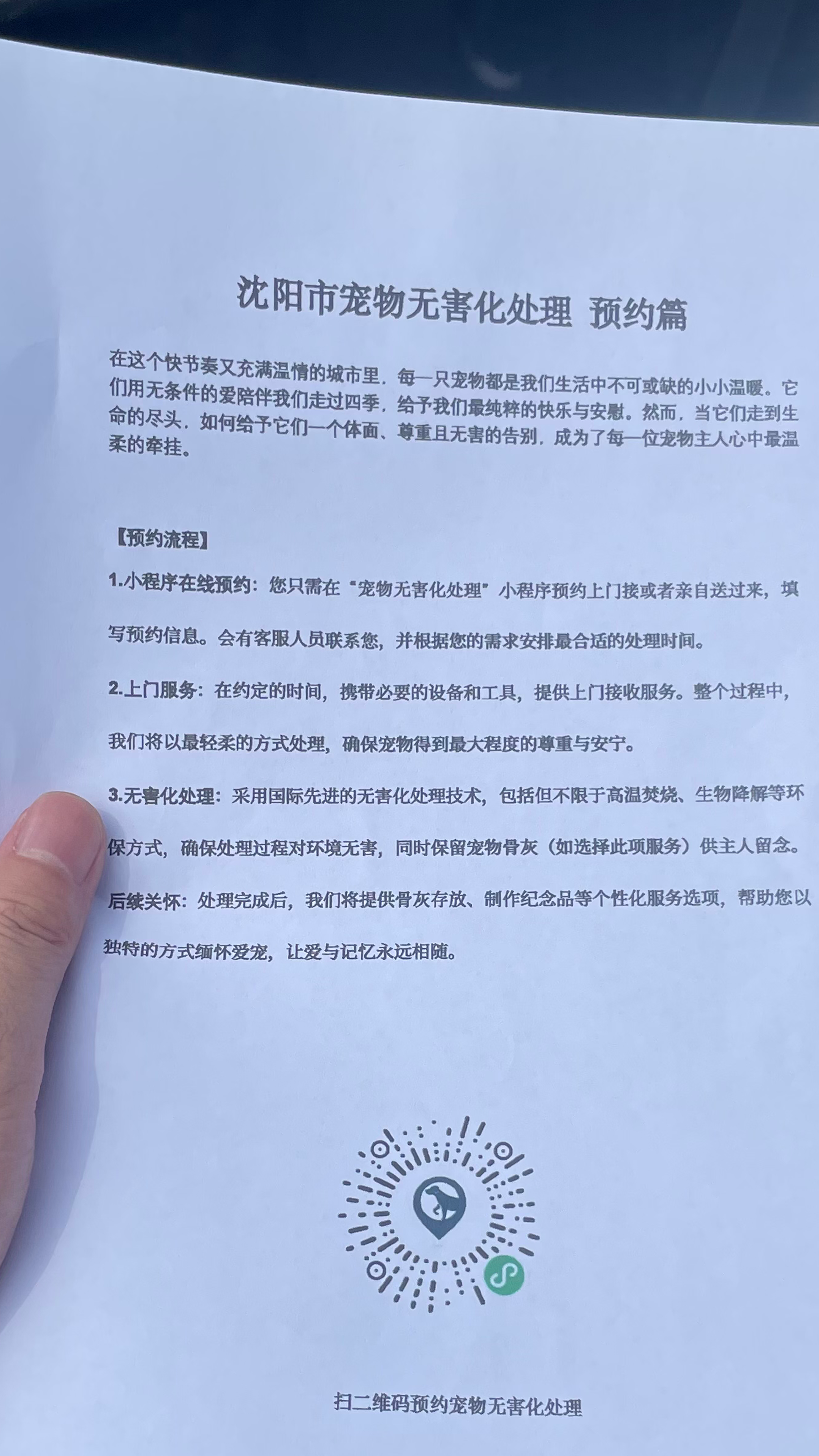 金华宠物遗体规范处理