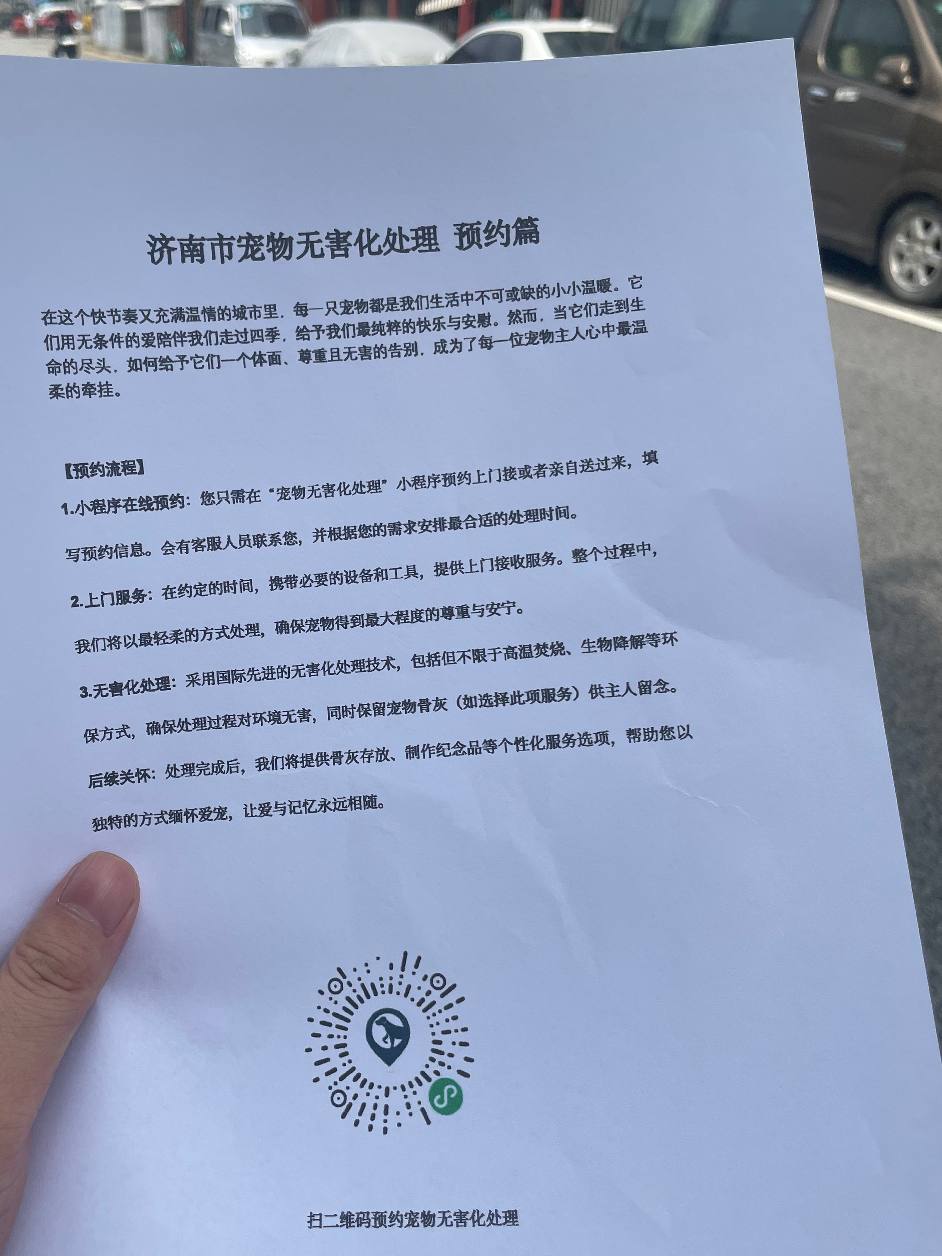 高明宠物无害化