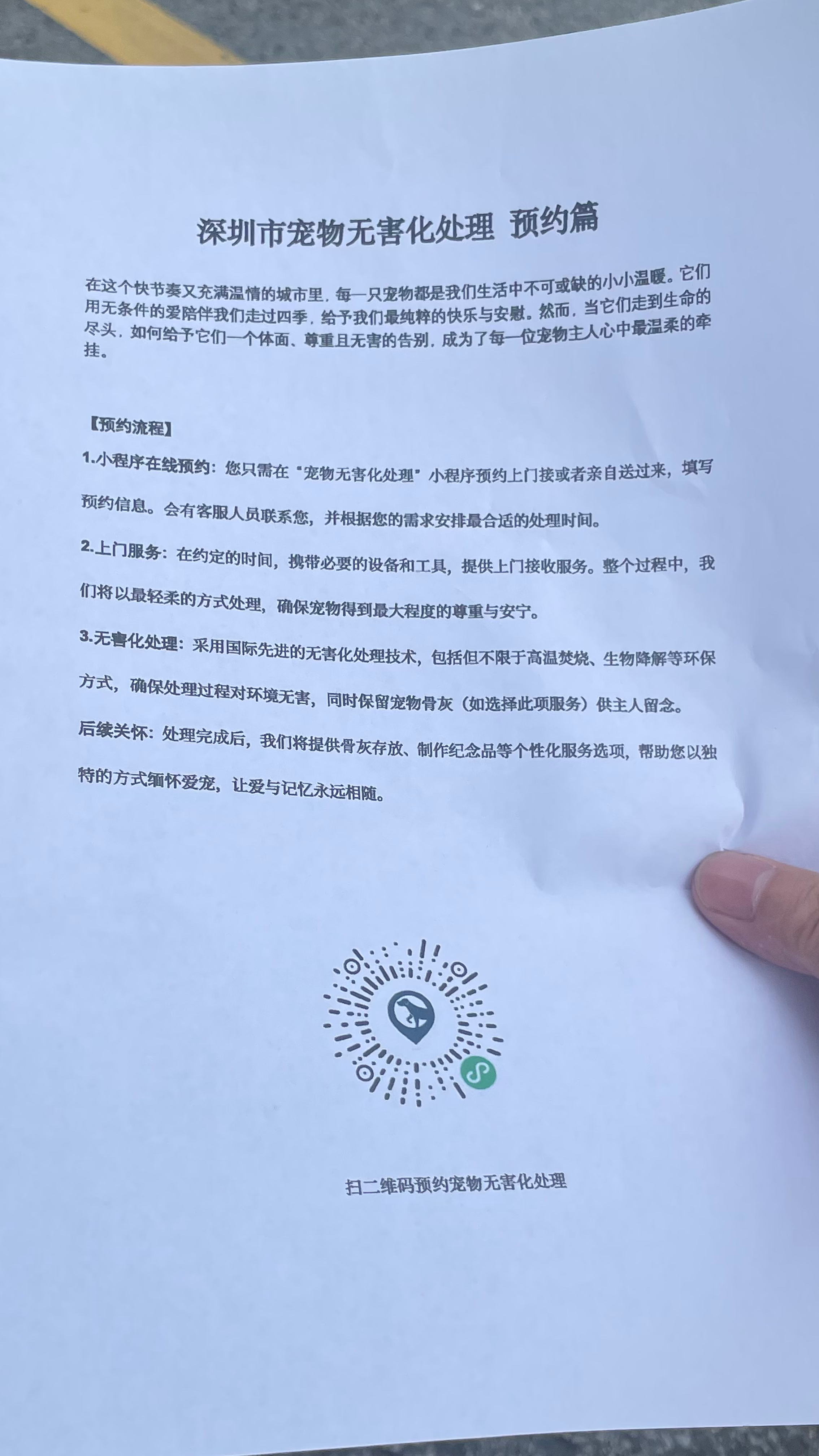 高明宠摆渡服务