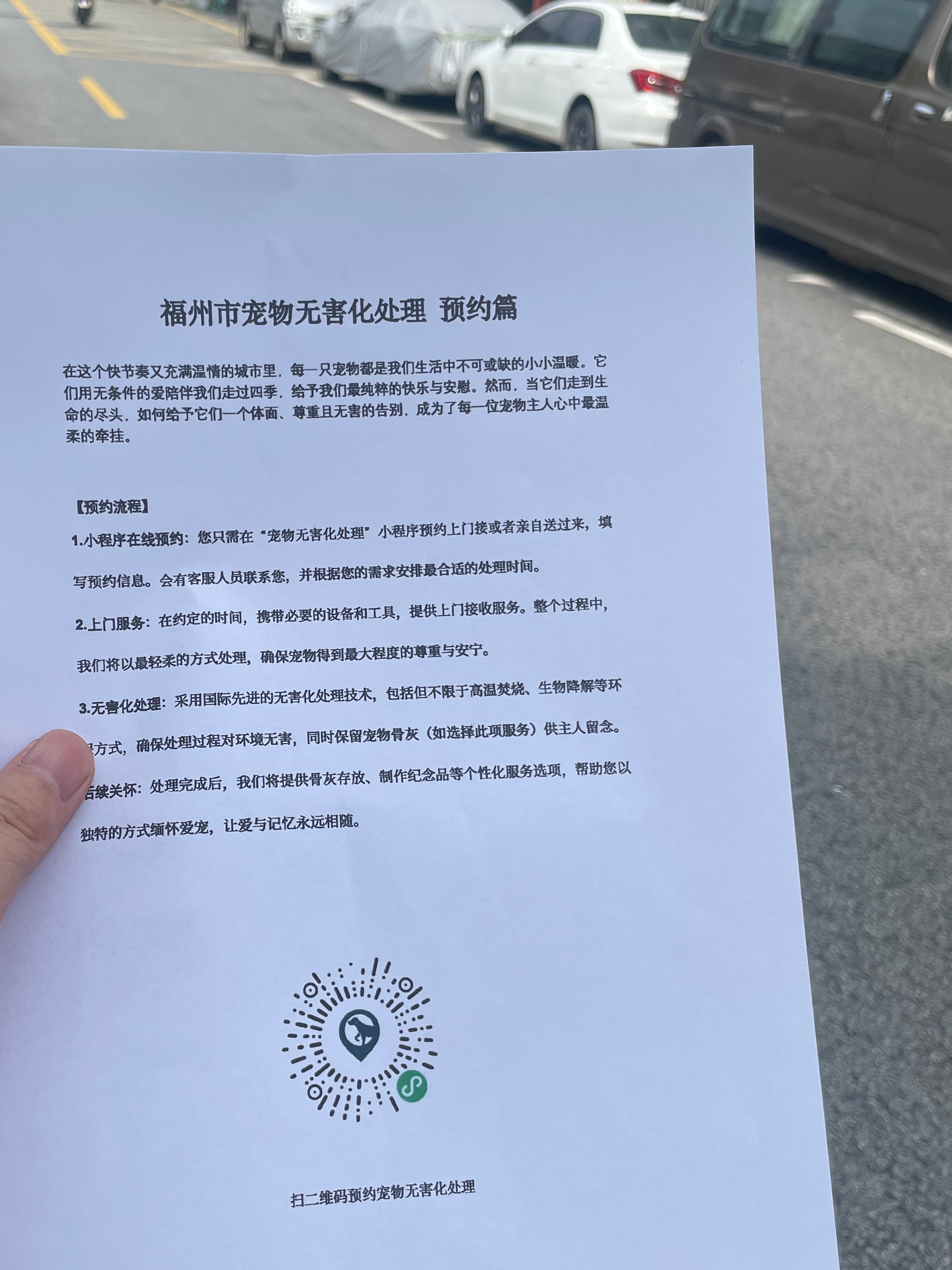 斗门宠物无害化处理