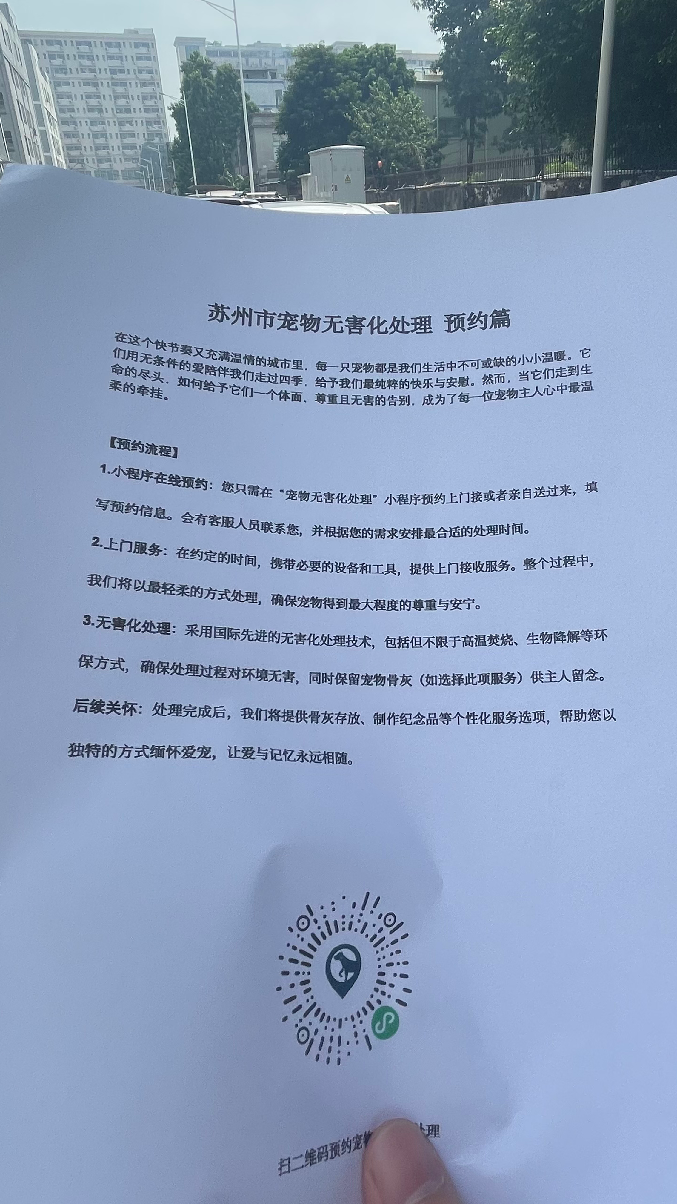 斗门宠摆渡服务