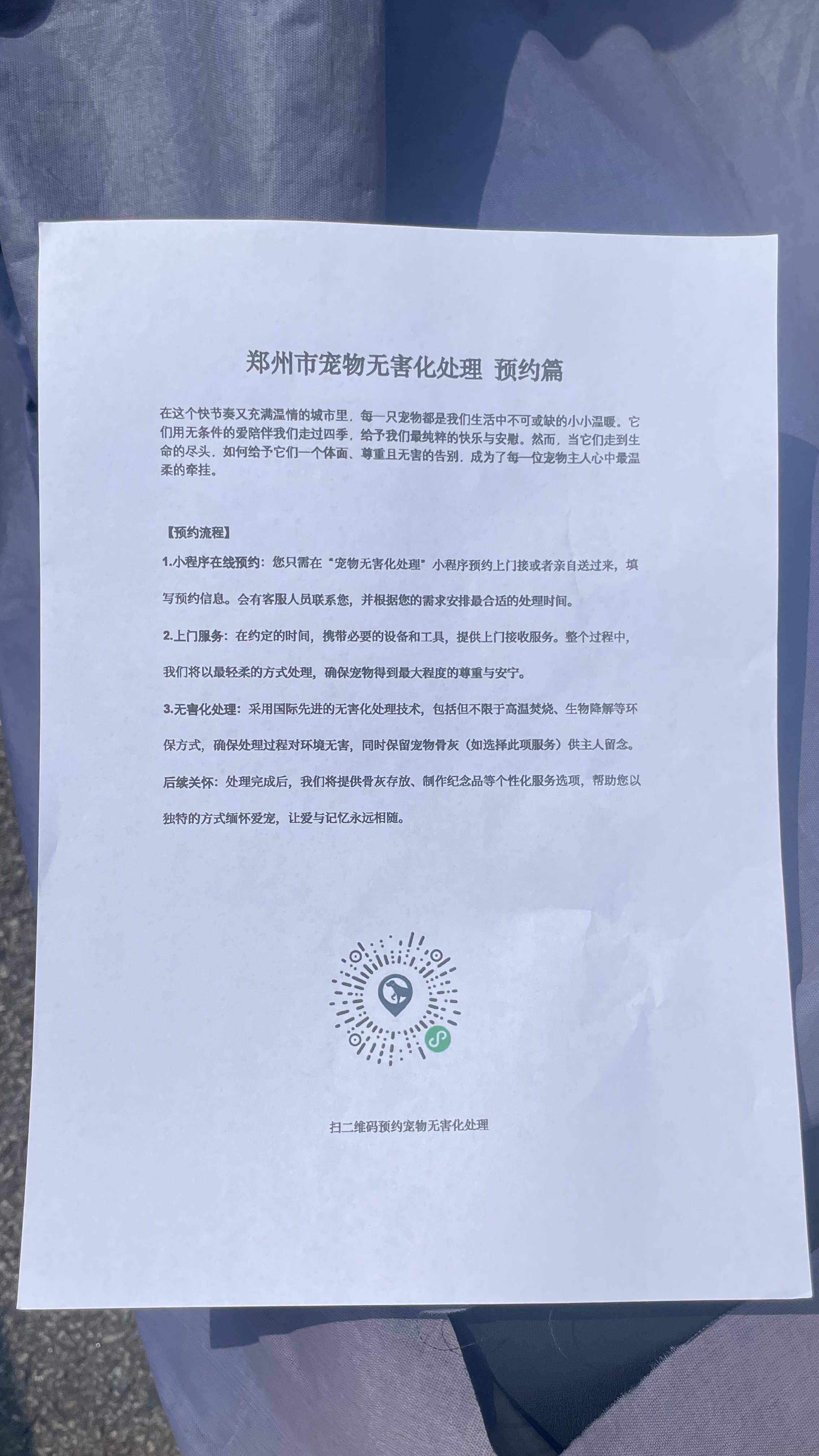 斗门宠物接运服务