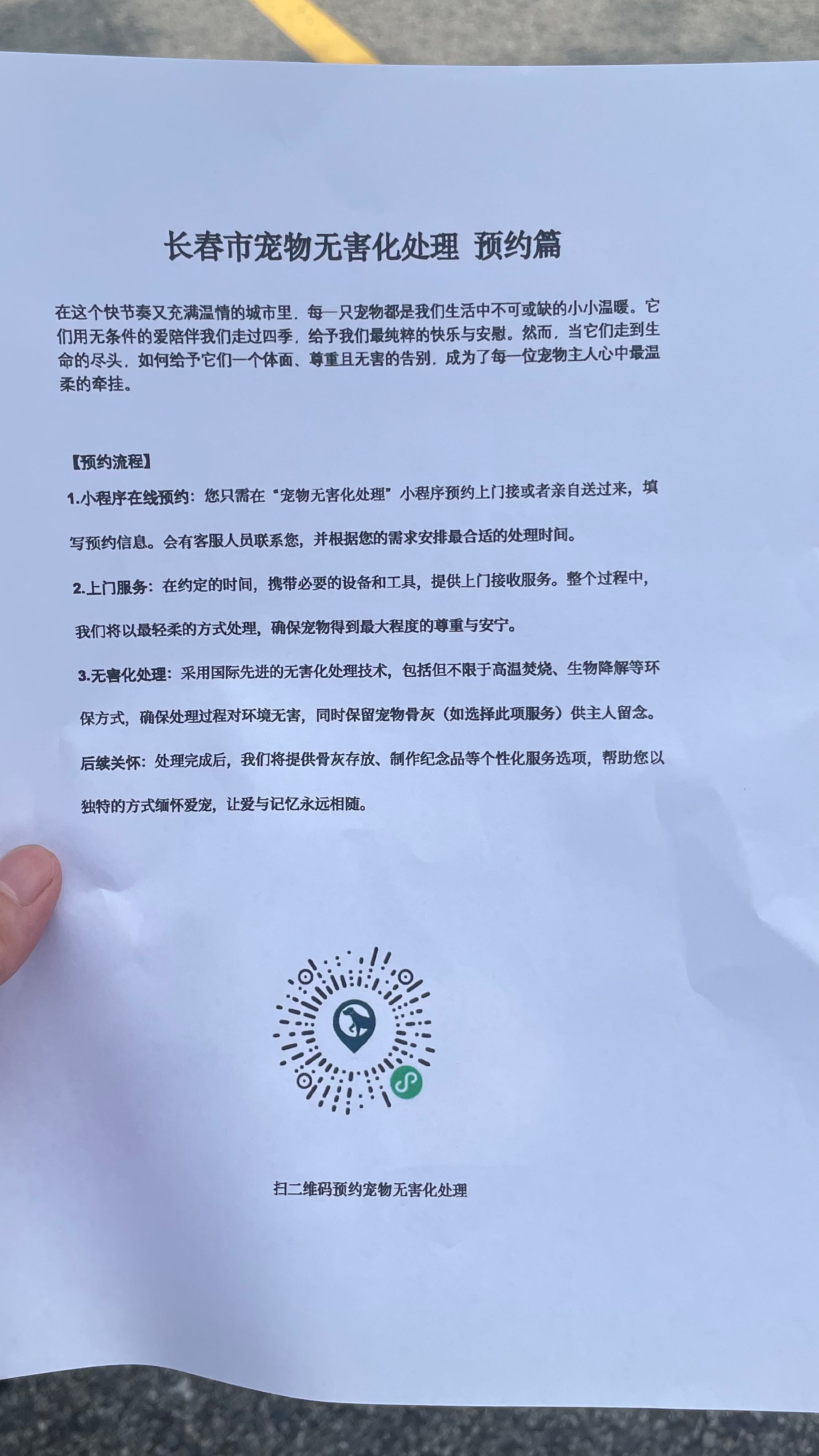 衢州宠物无害化处理