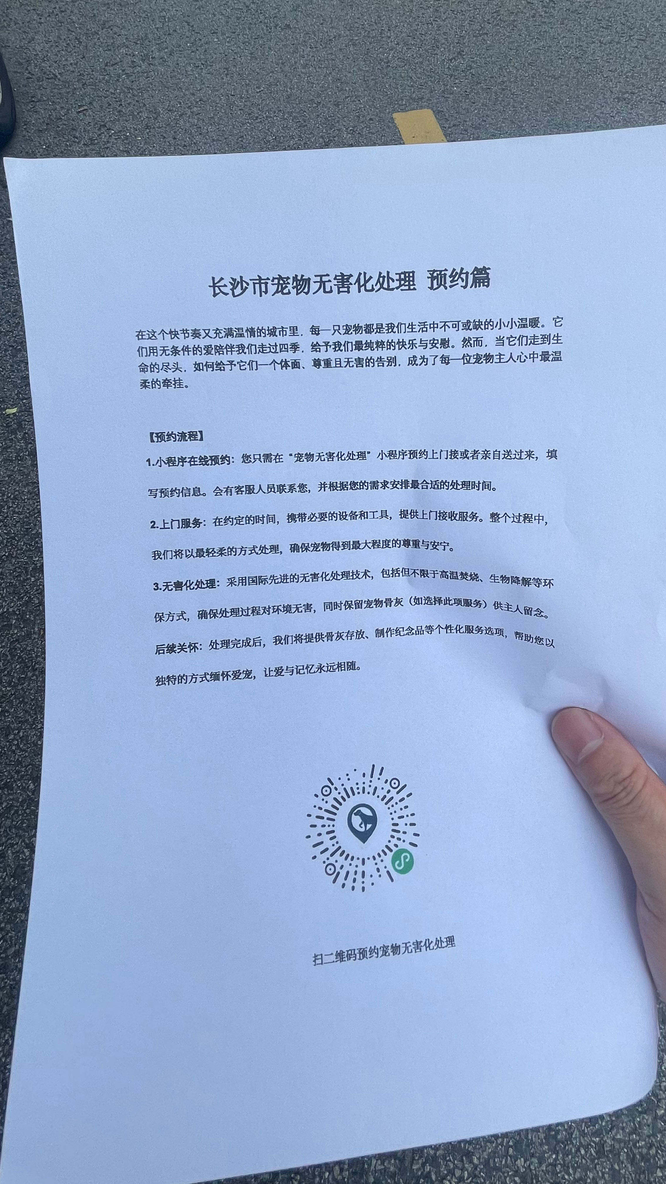 湘潭宠物遗体规范处理